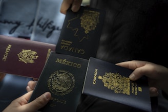 Four passports held by different people