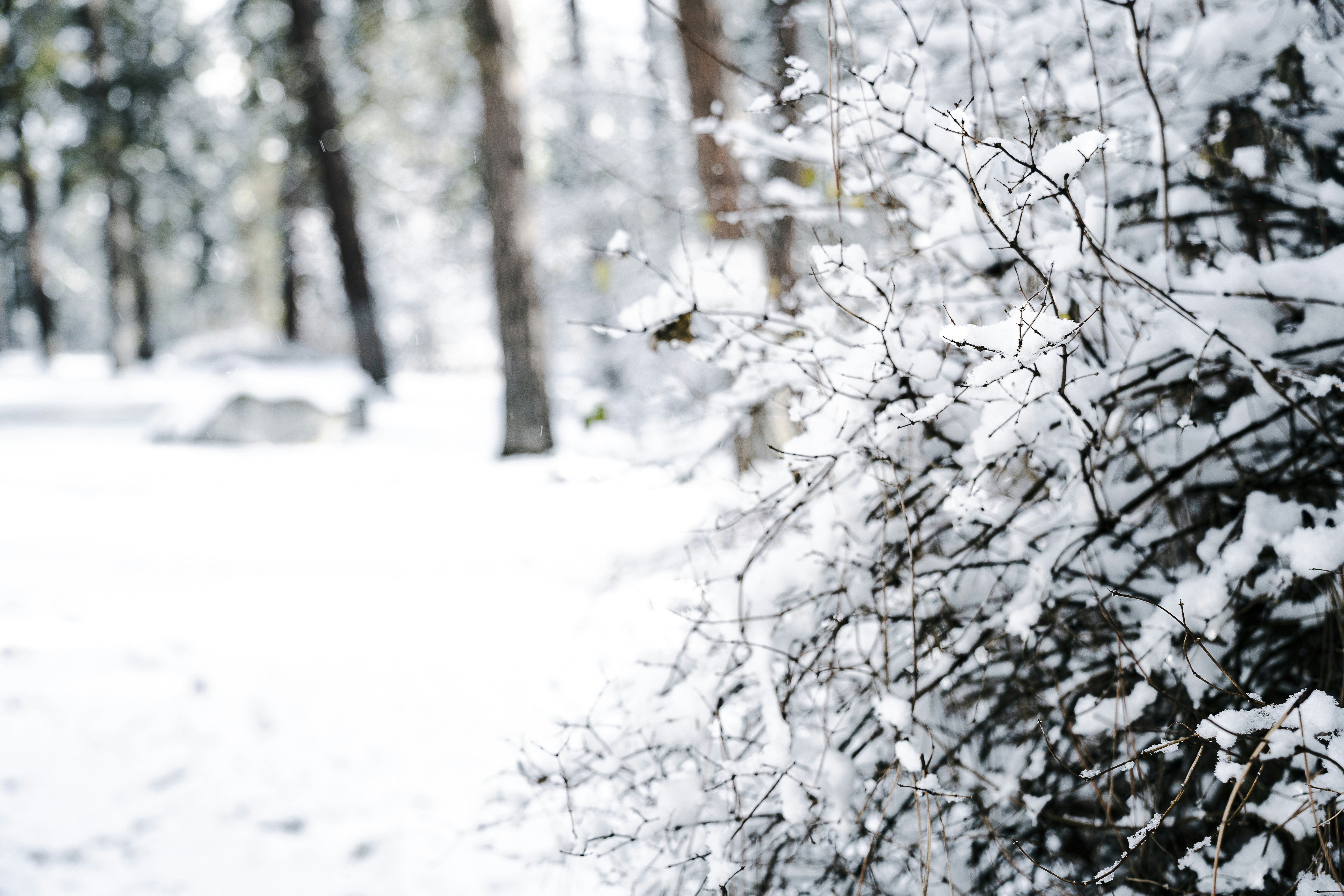 Photo by alexa_filmvibes