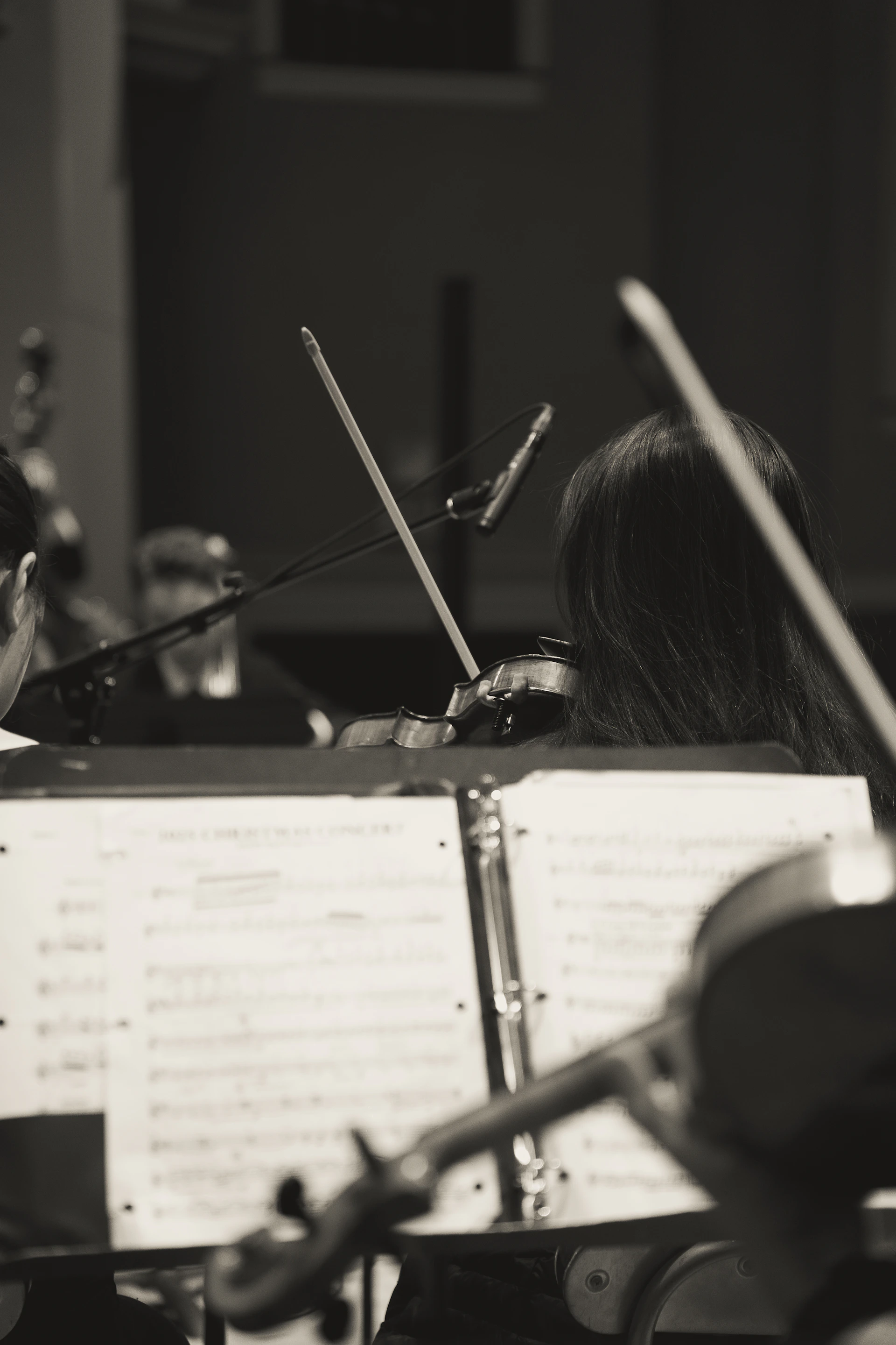 Musicians playing violins during a performance