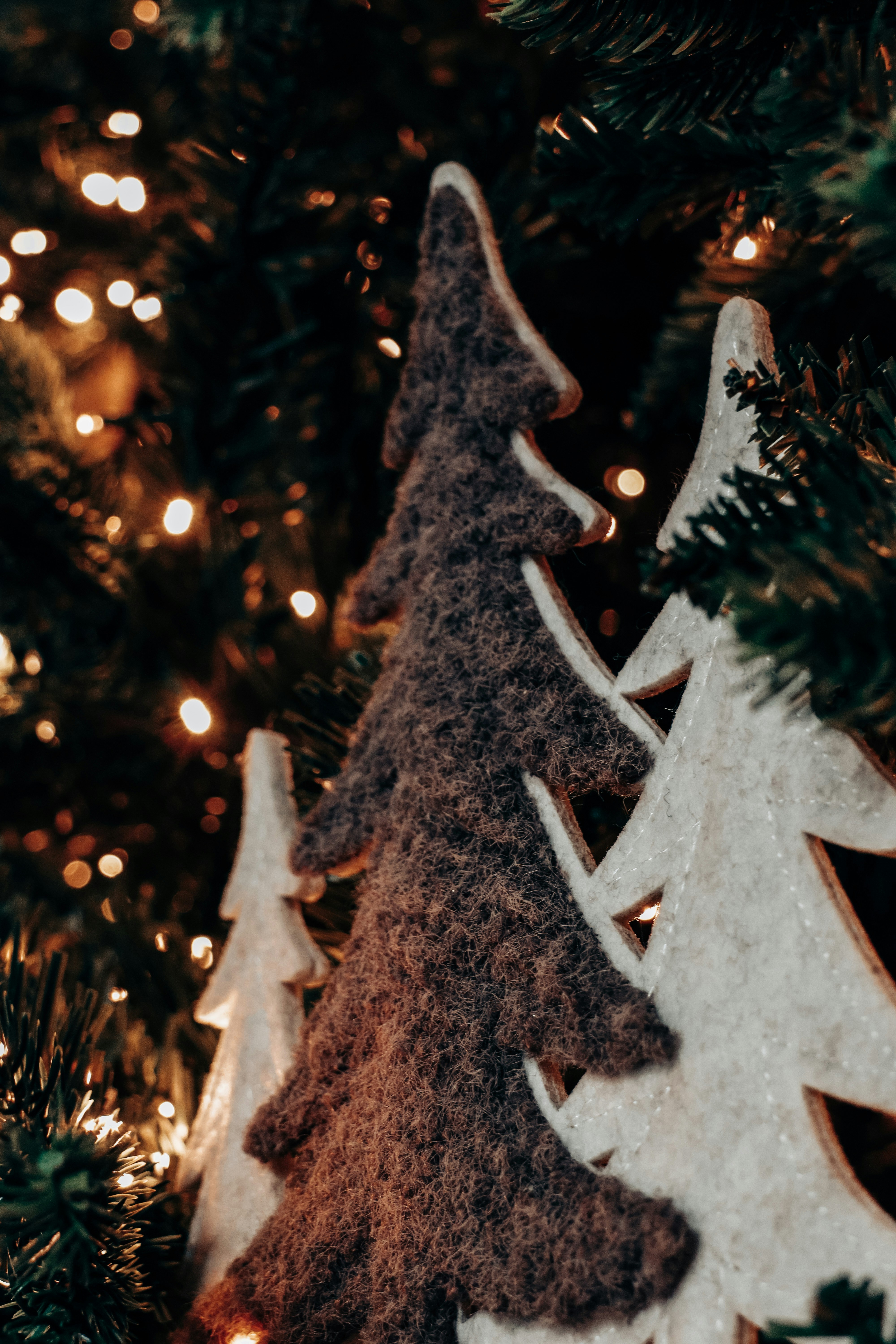 Photo by fedingo13_photography