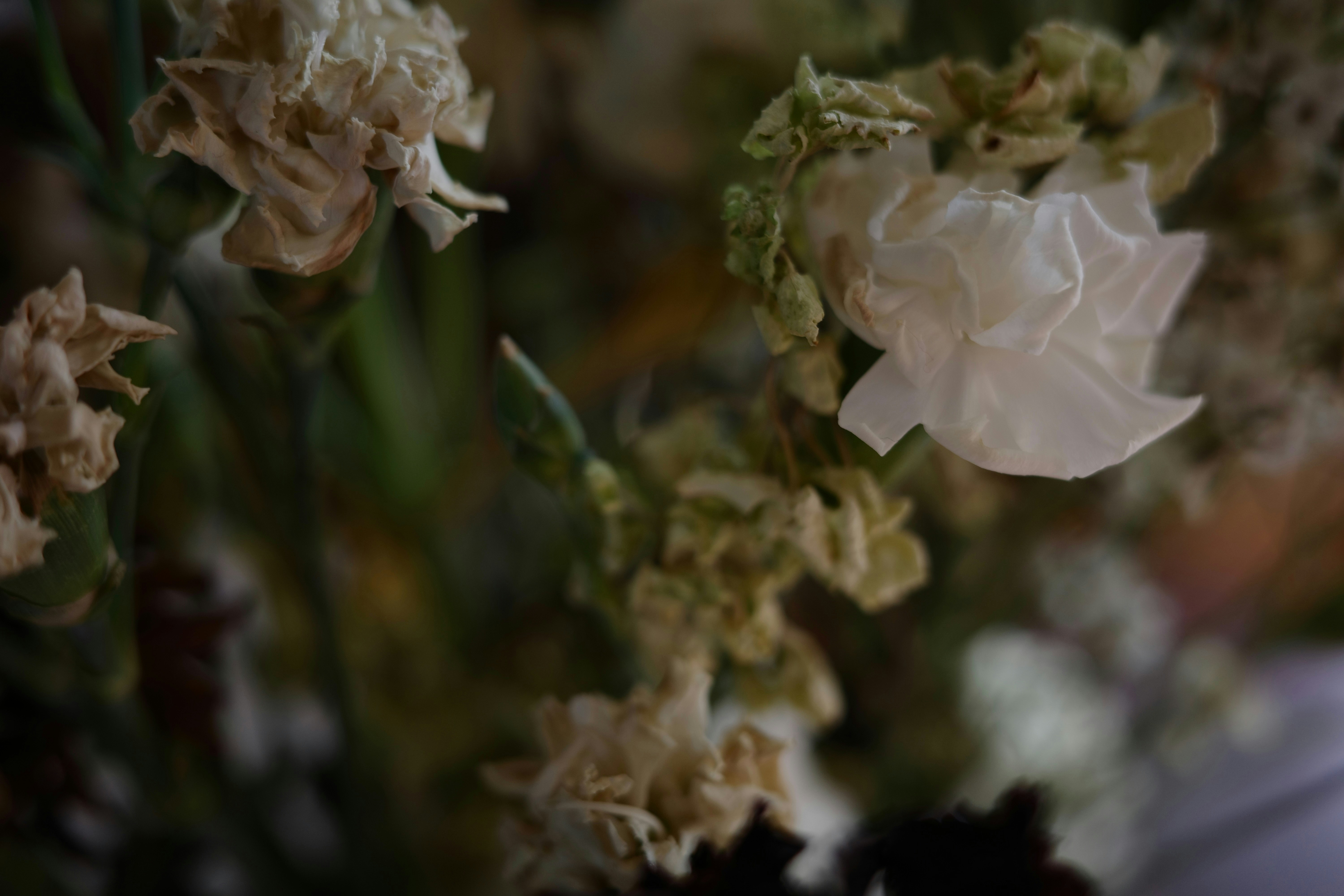 Photo by shapes_and_stuff