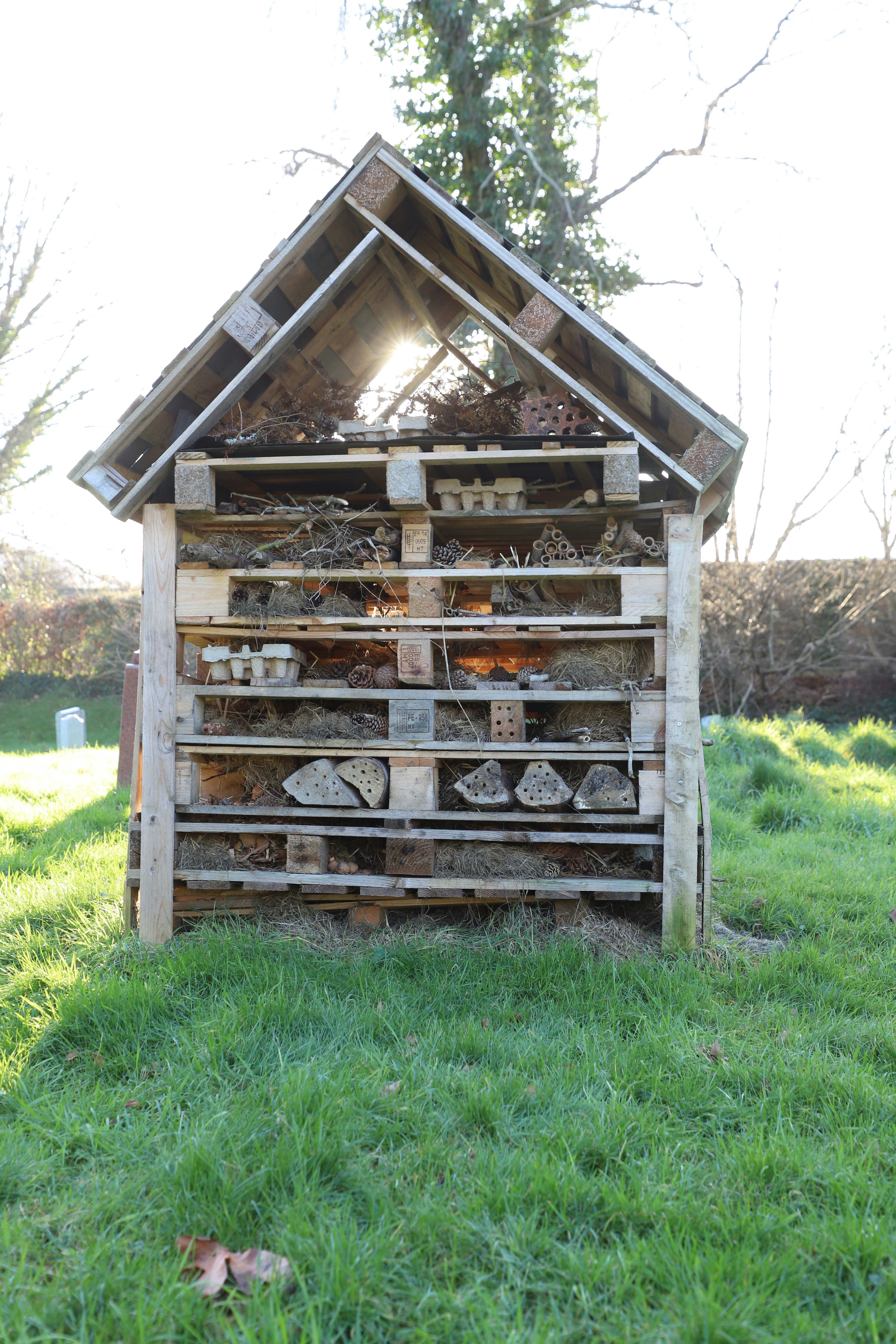 wildlife friendly garden