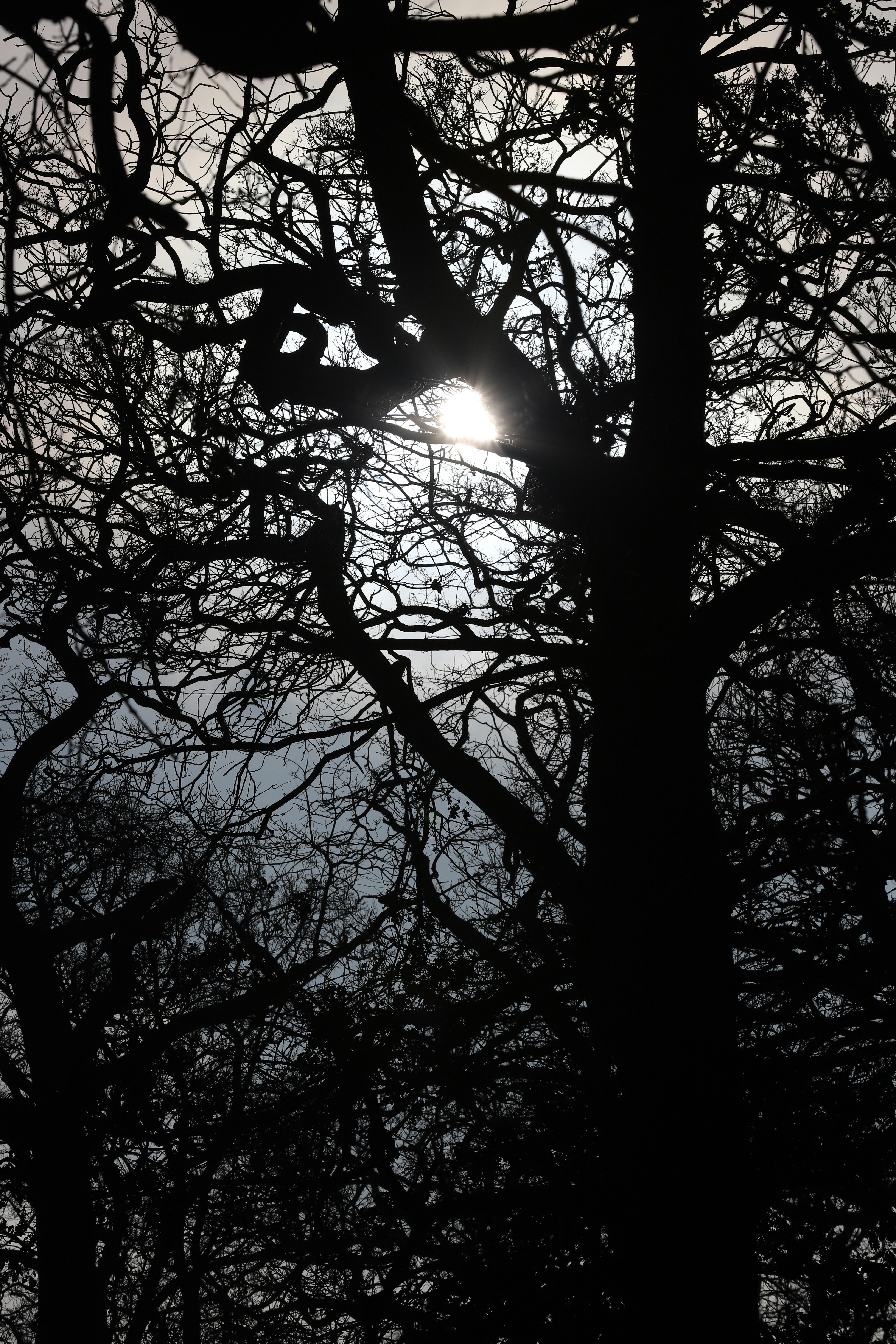 Photo by bruceb_uk