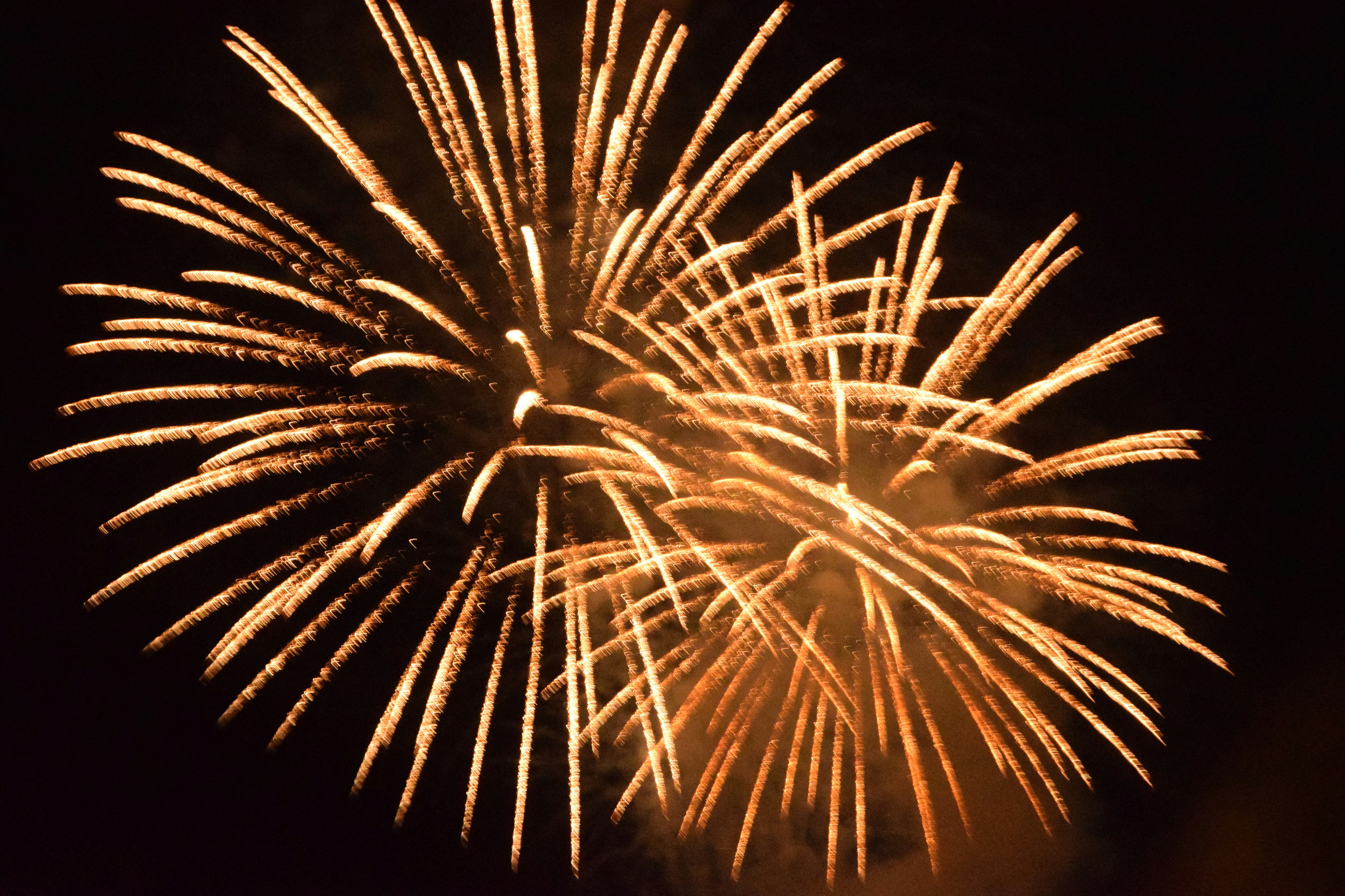 Golden fireworks exploding in the night sky