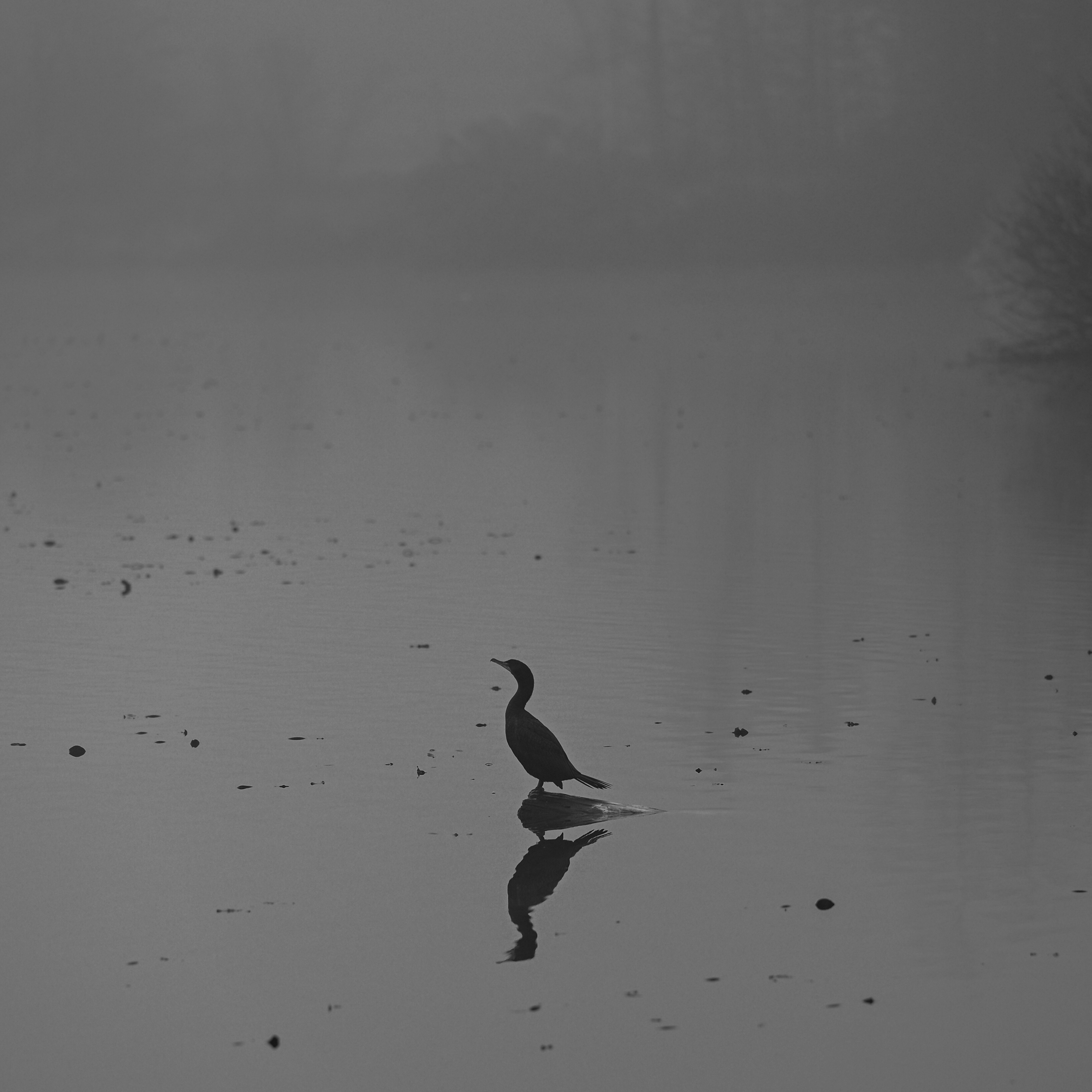 2026-01-29 - 等待總是令人焦慮。