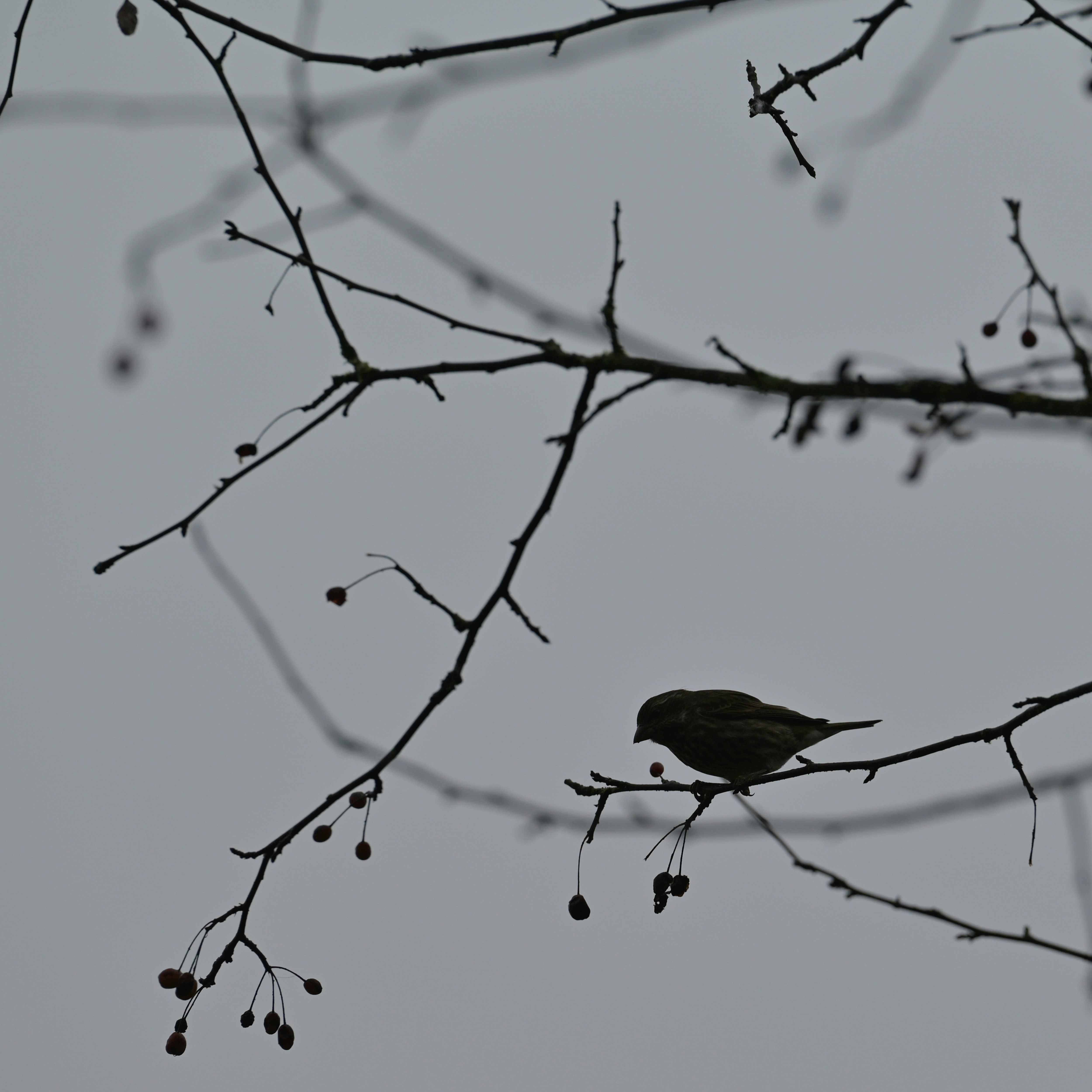 Photo by jonathankslim