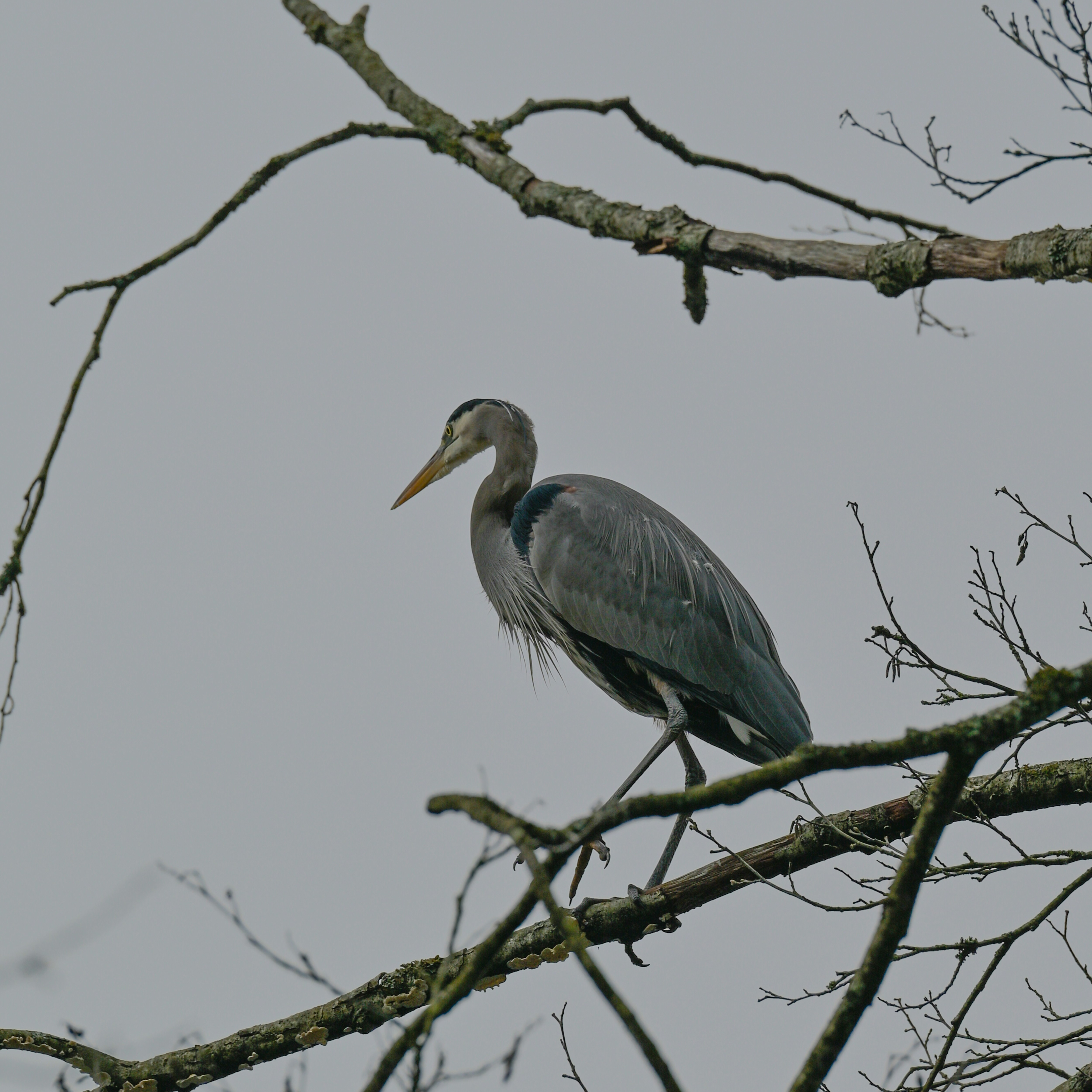 Photo by jonathankslim