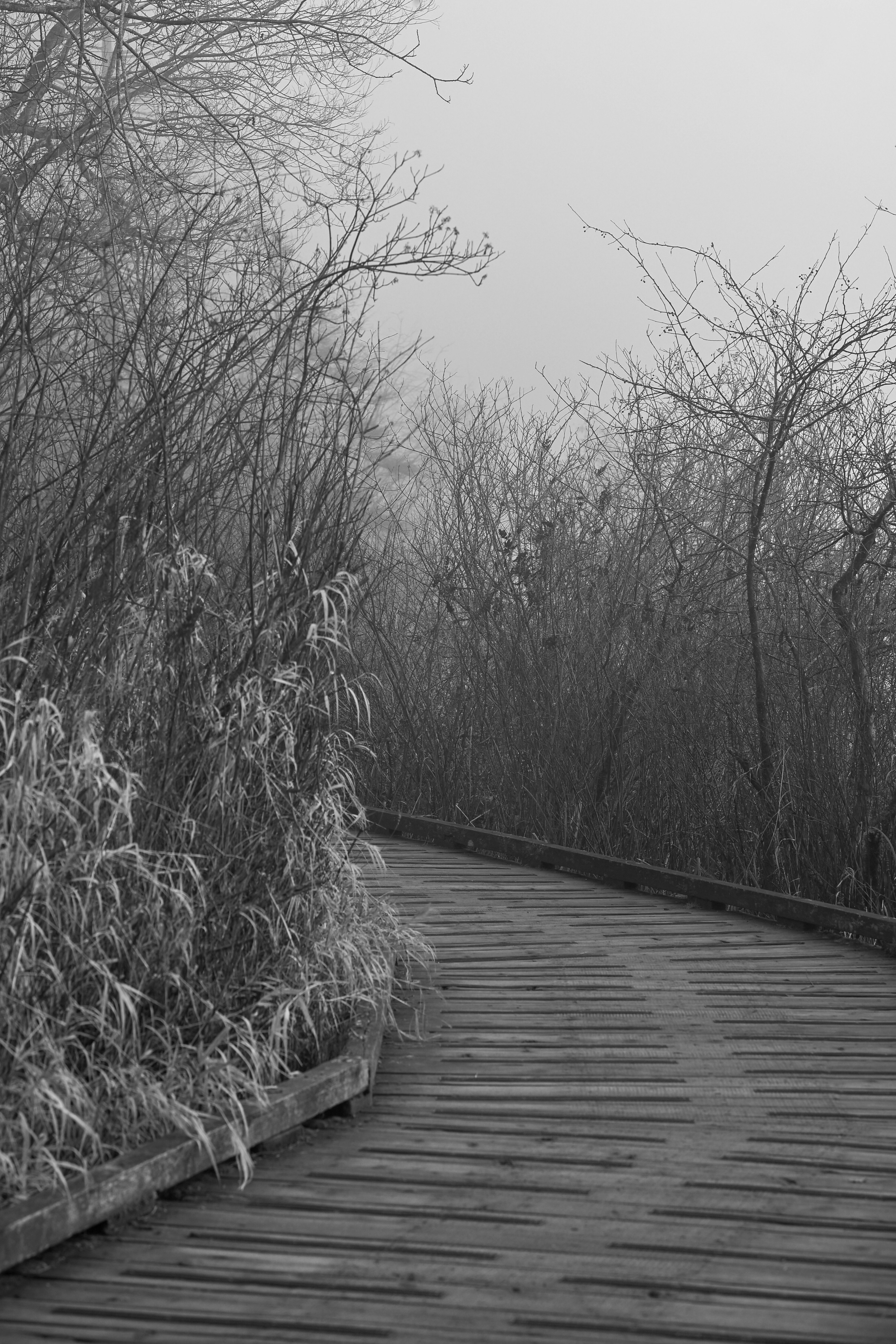 Photo by jonathankslim