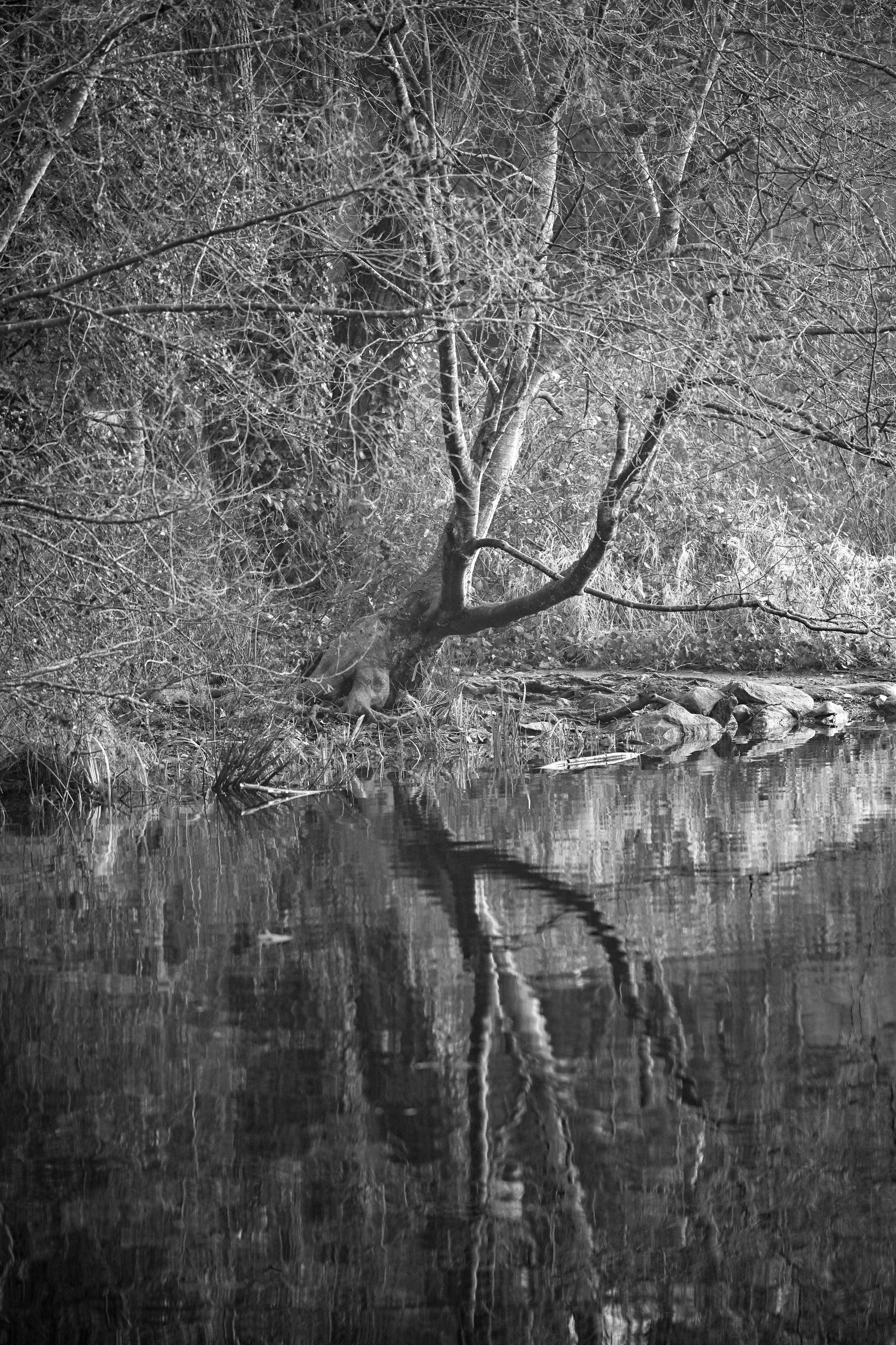 Photo by jonathankslim