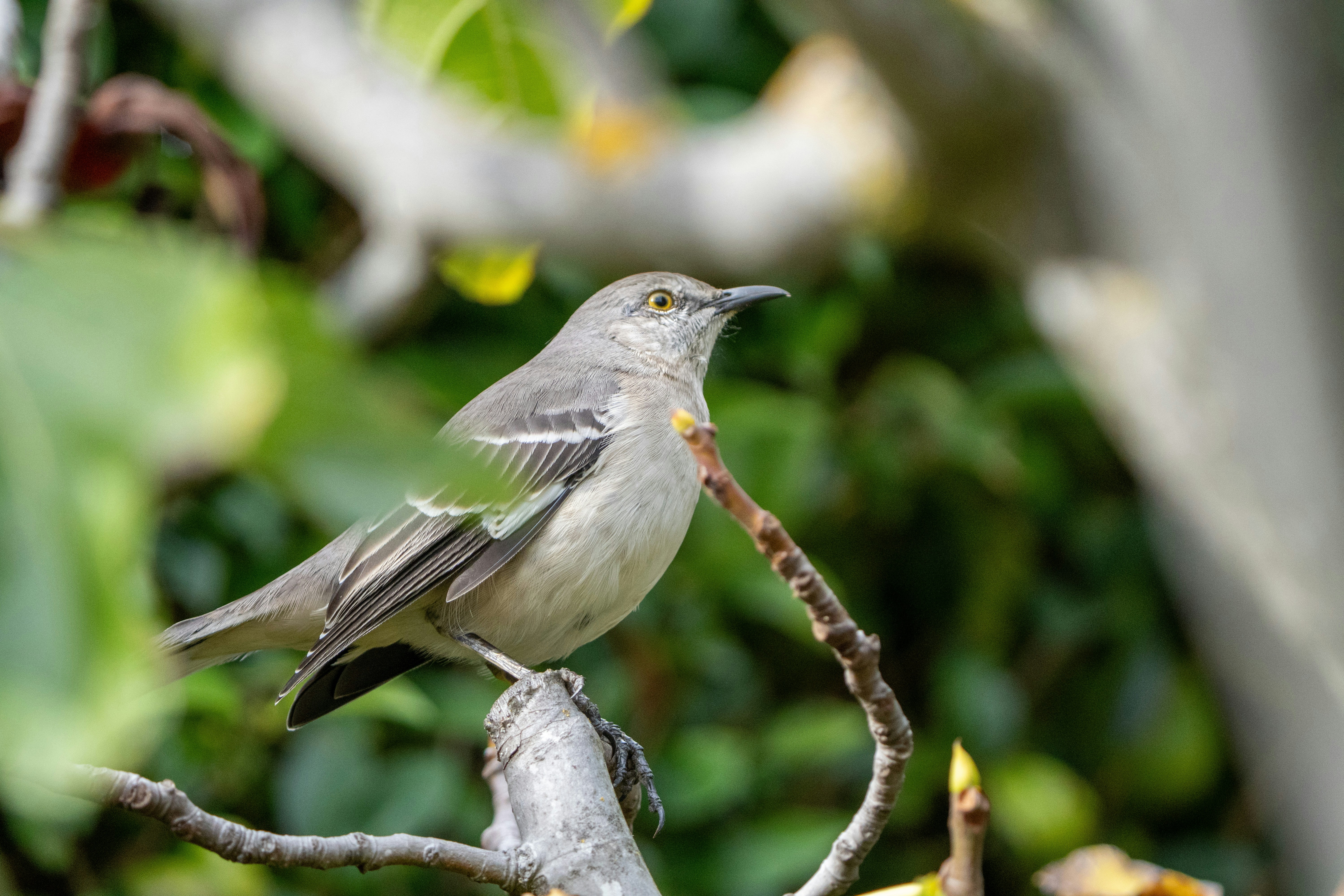 Photo by zacharia_17