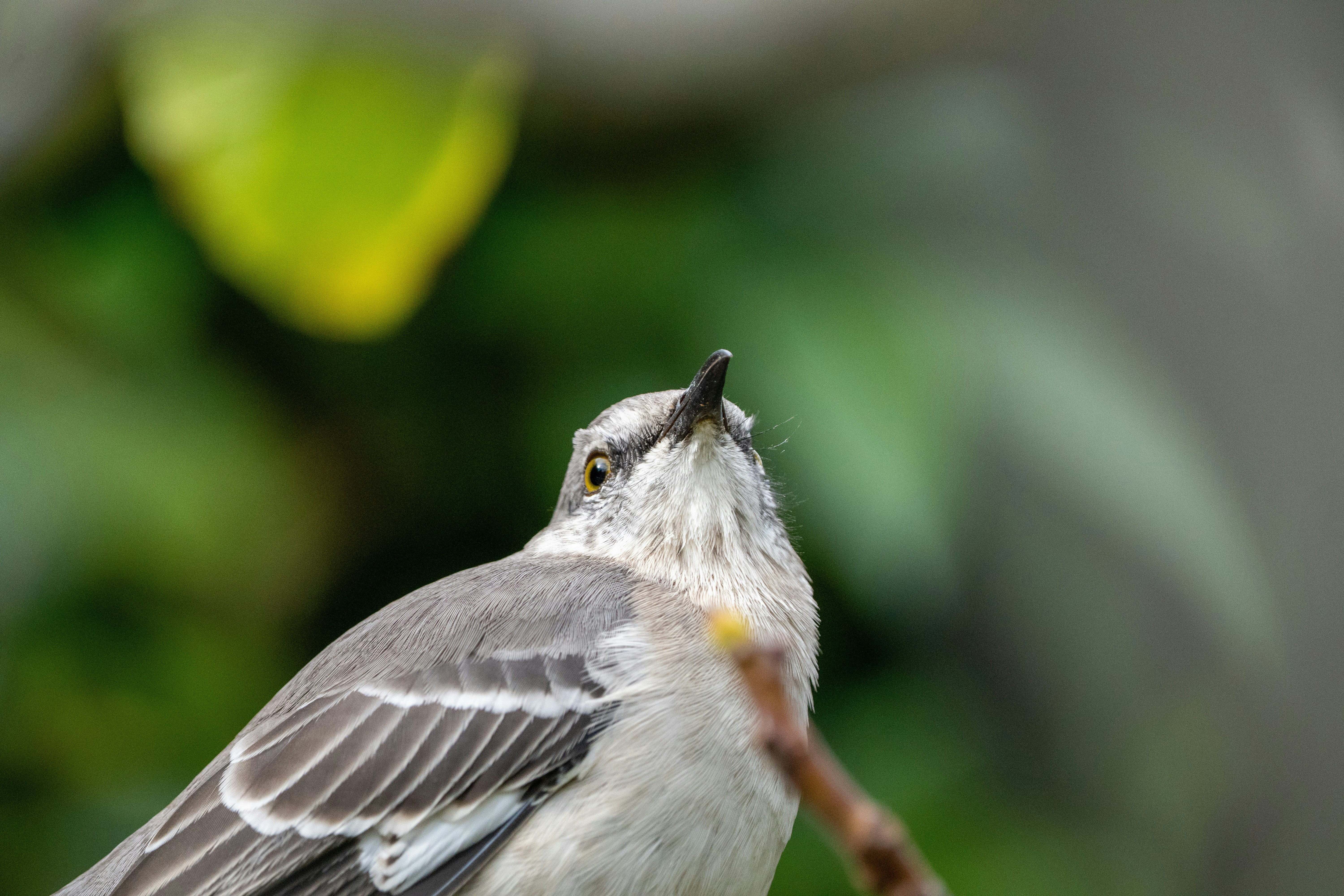 Photo by zacharia_17