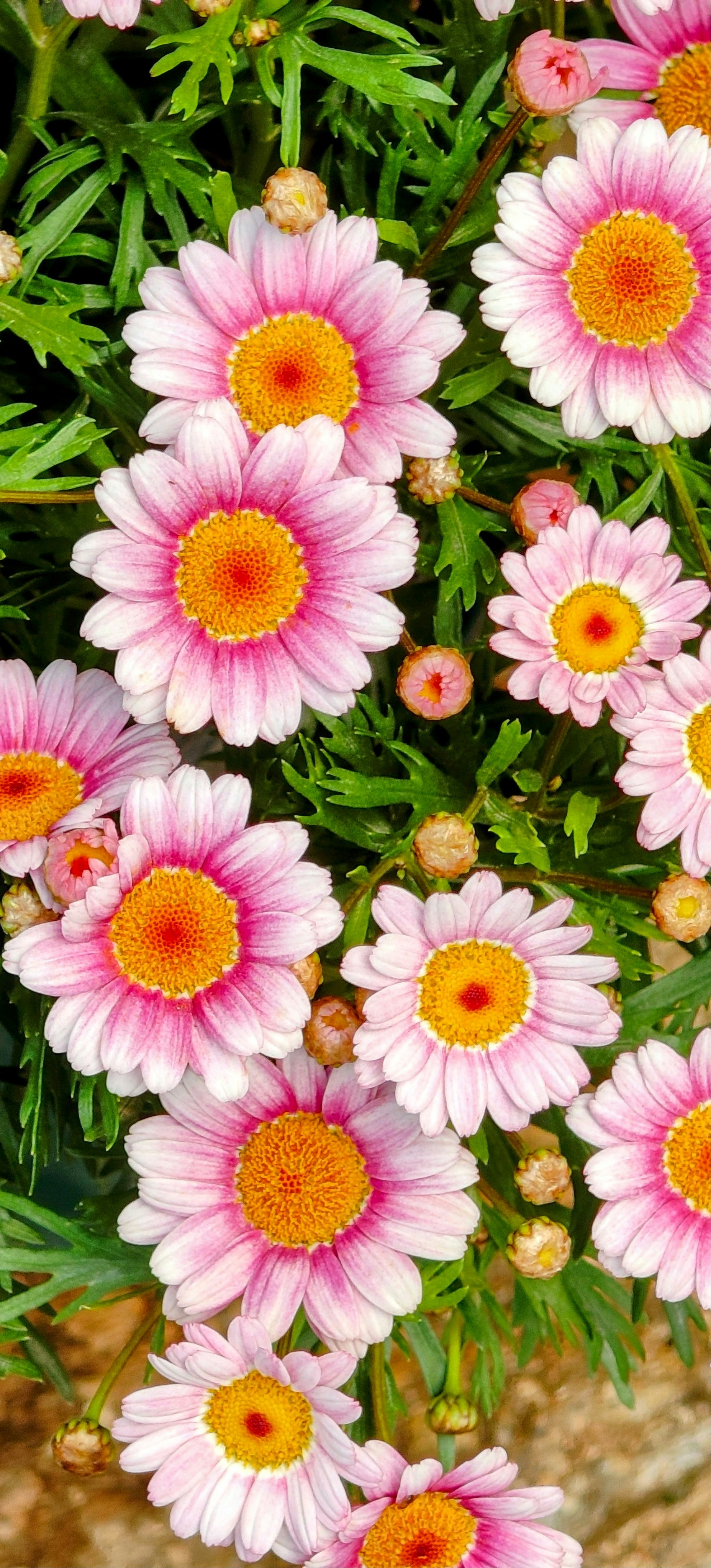 Photo by thomaskinto