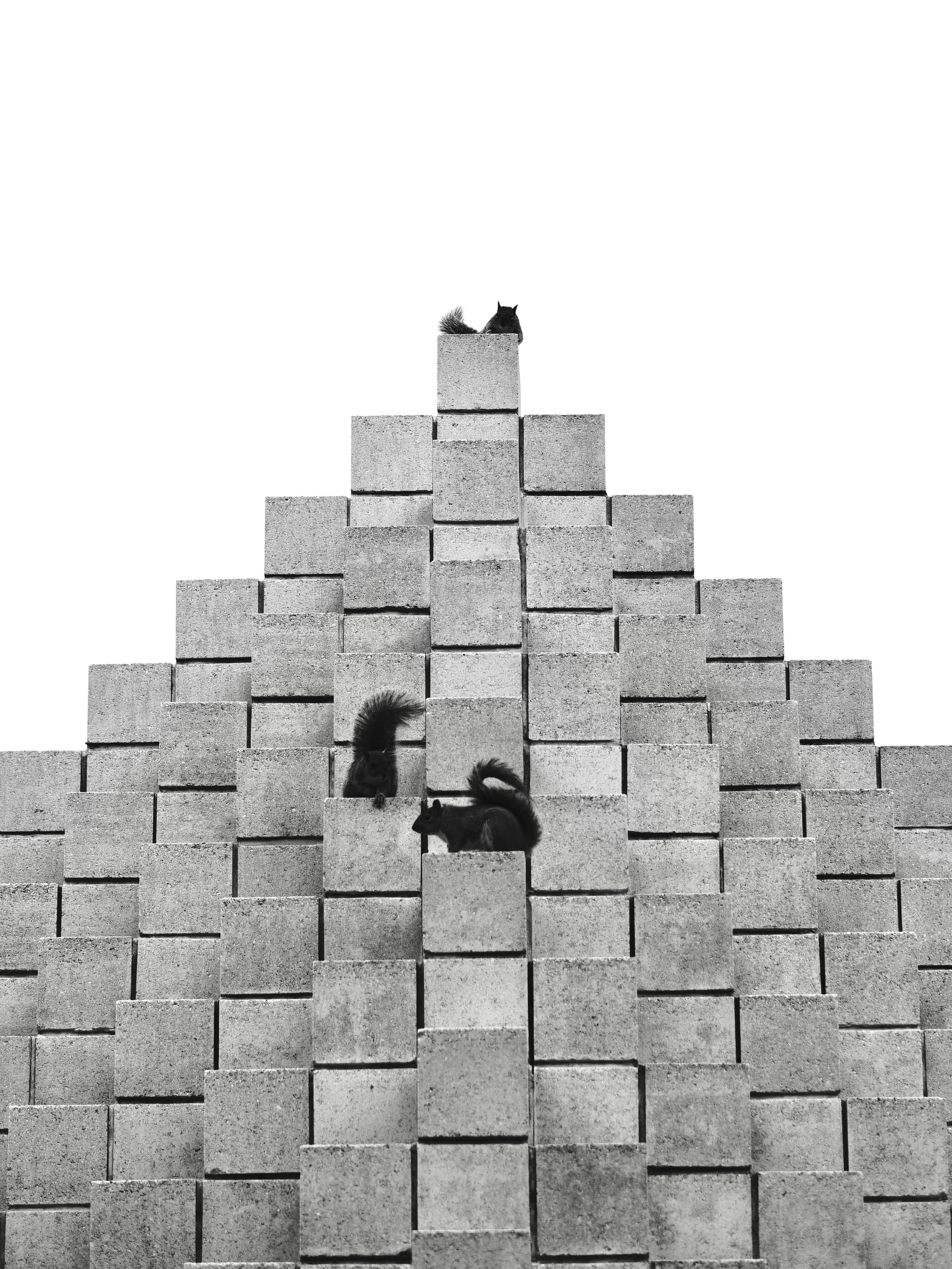 Photo by sschusterphotoart