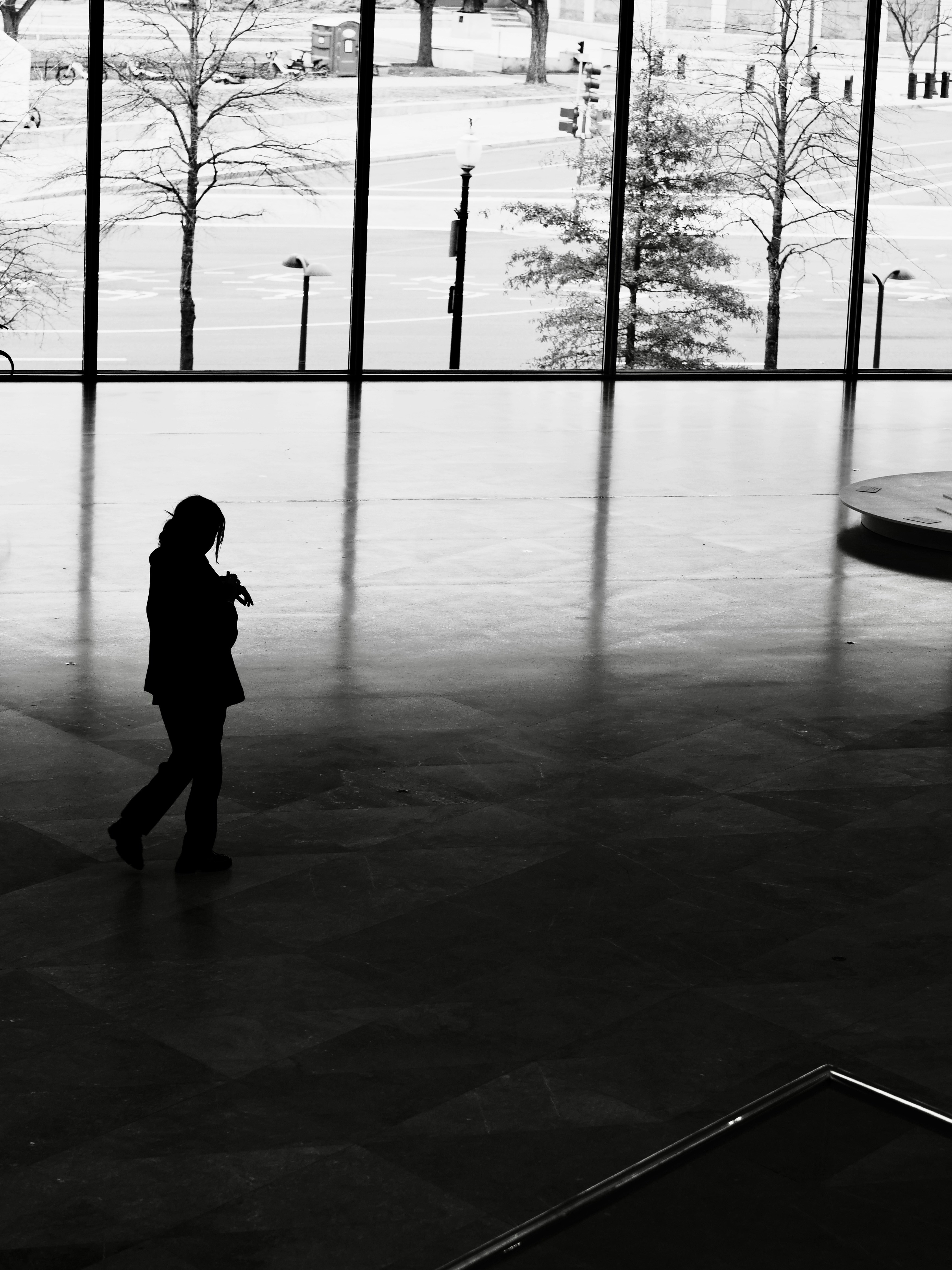 Photo by sschusterphotoart