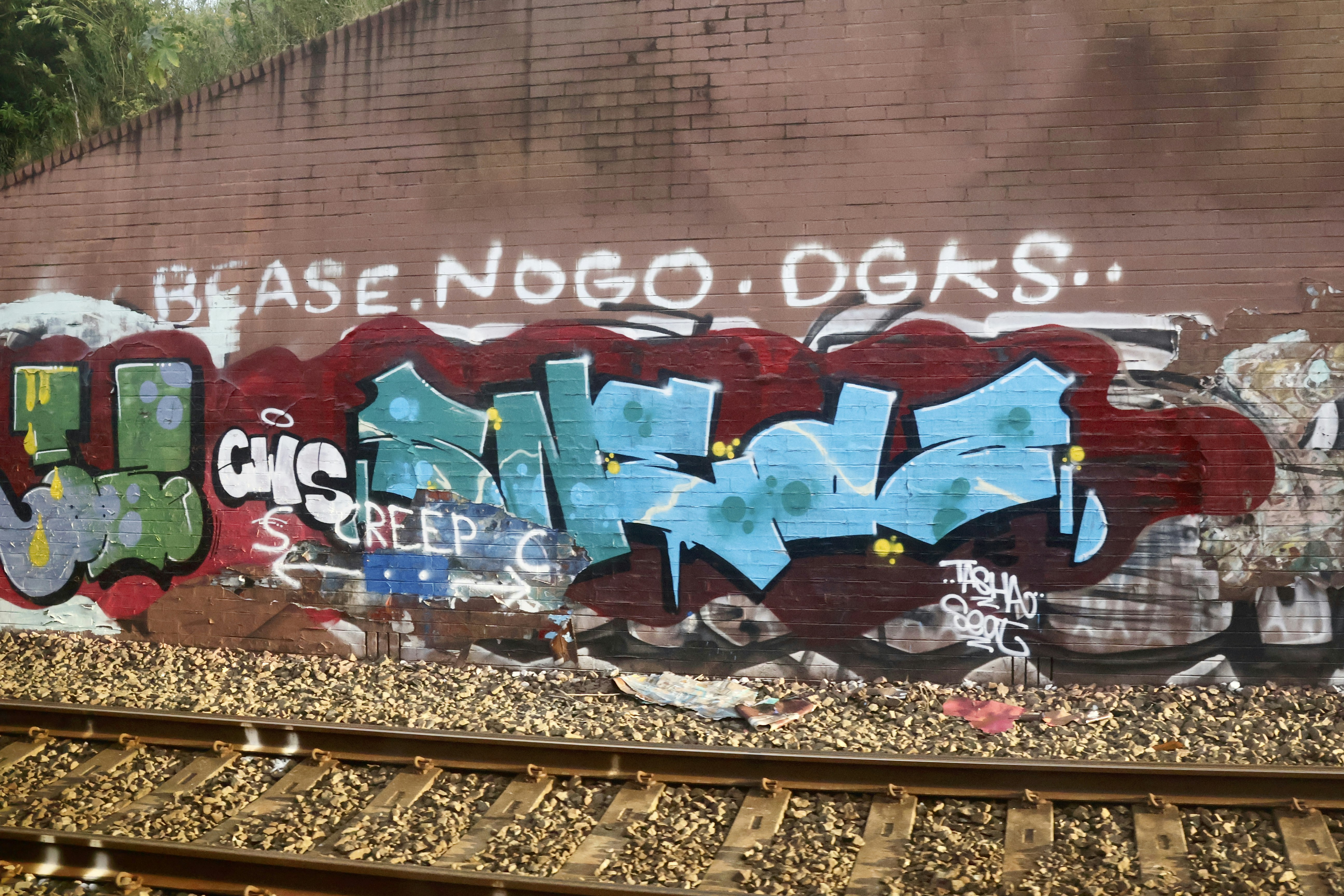 Graffiti art covers a brick wall by train tracks.