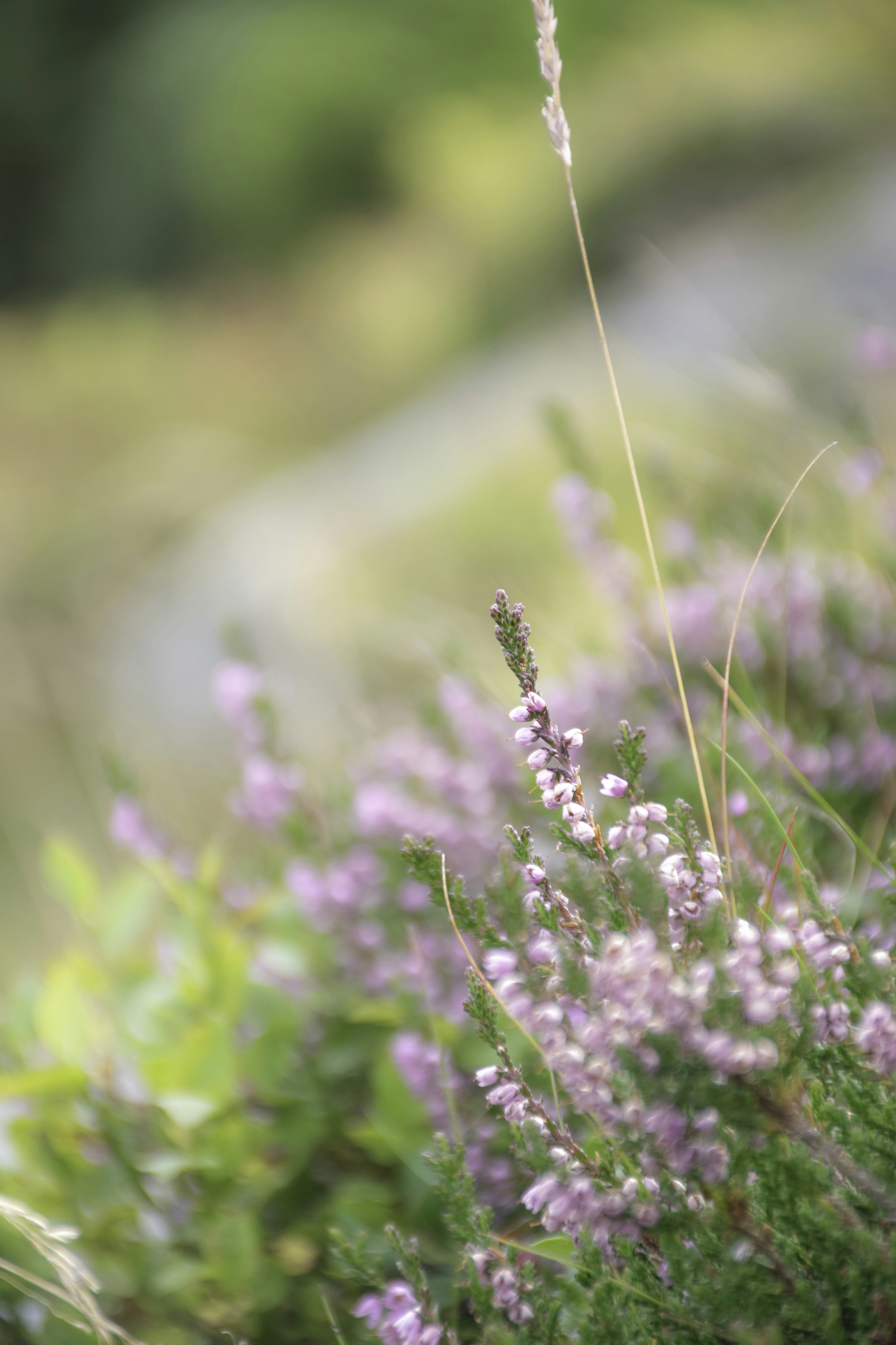 Photo by adam_skrinnikoff