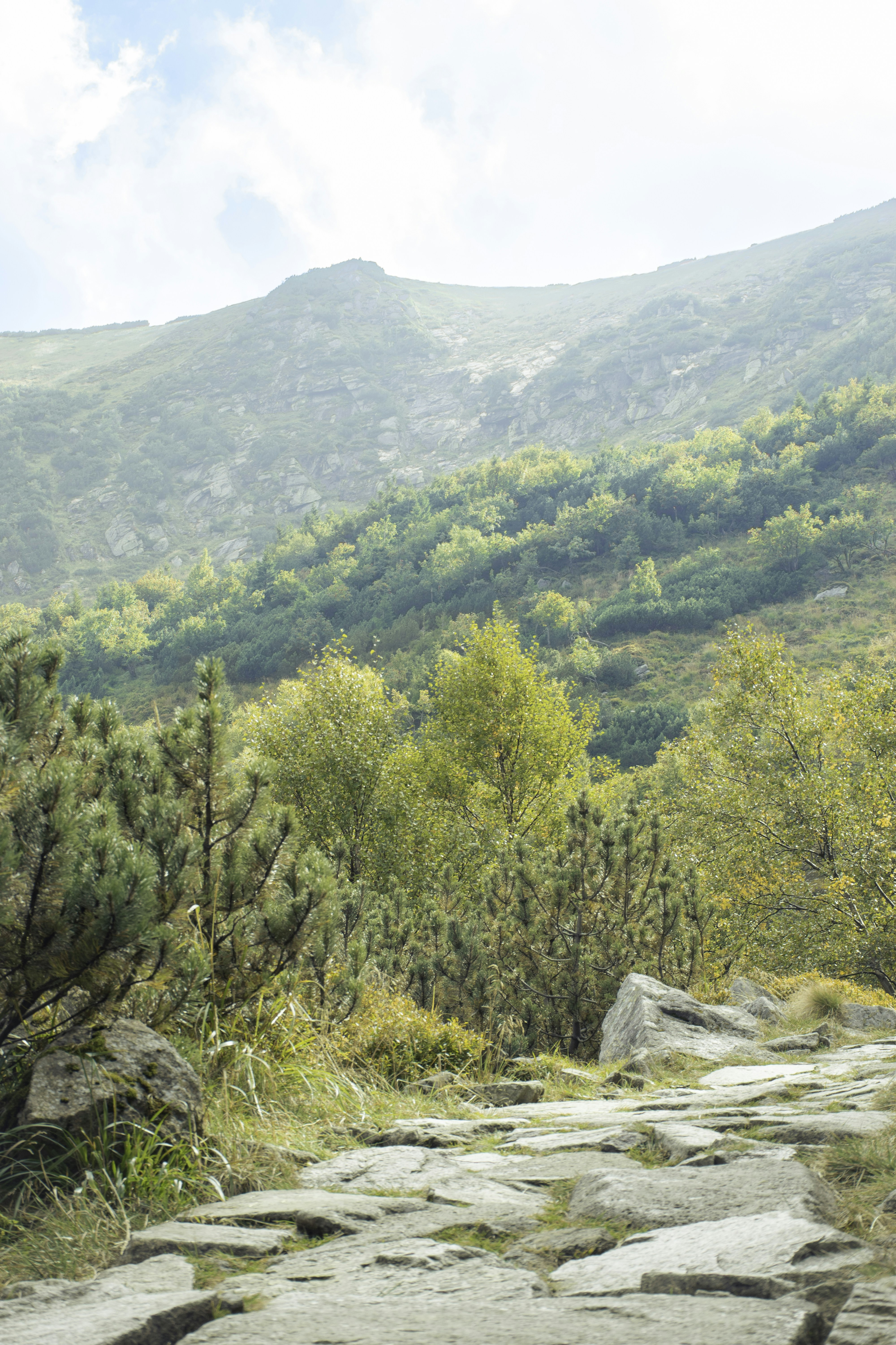 Photo by adam_skrinnikoff