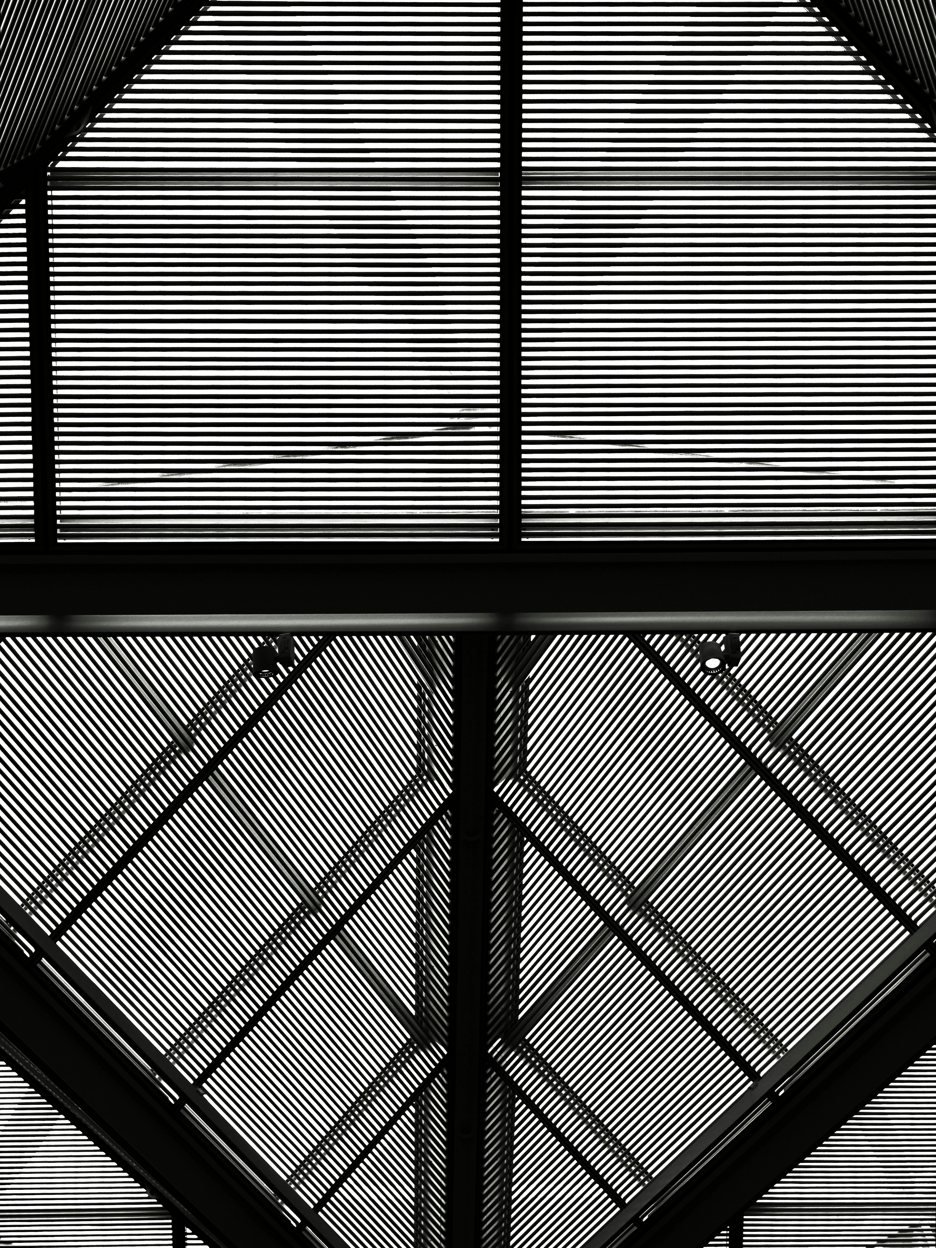 Photo by sschusterphotoart