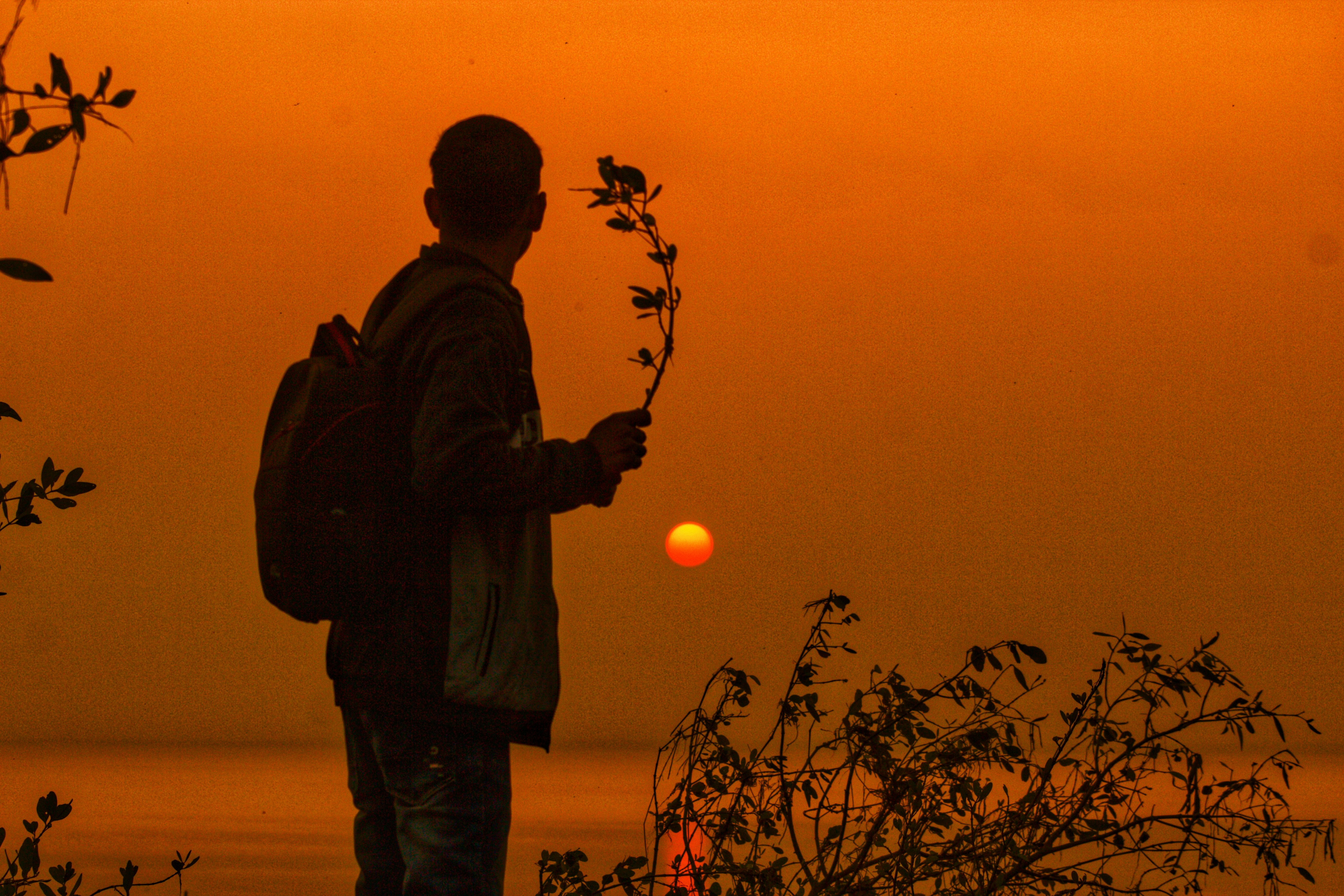 Photo by rahimsaikat