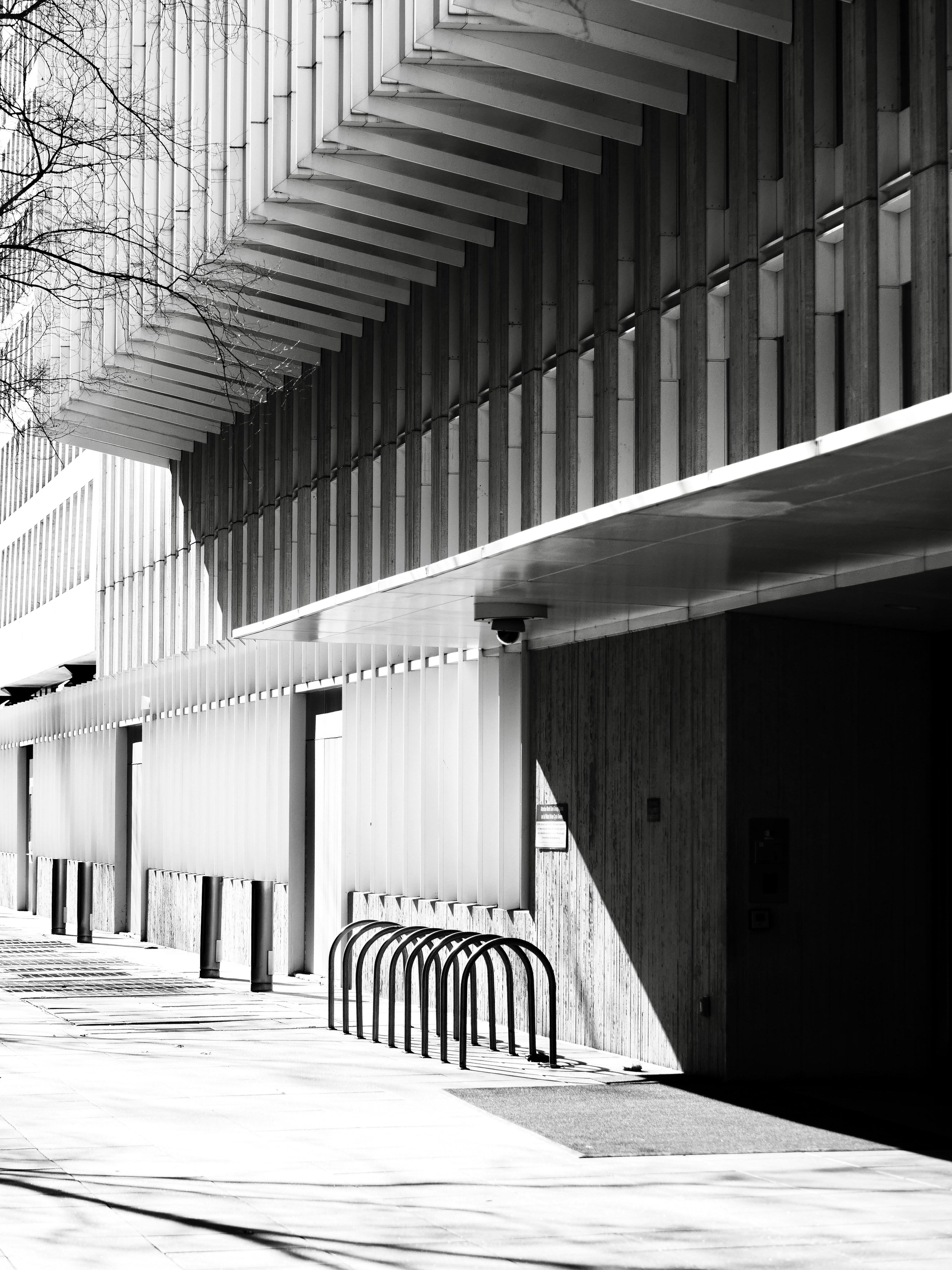 Photo by sschusterphotoart