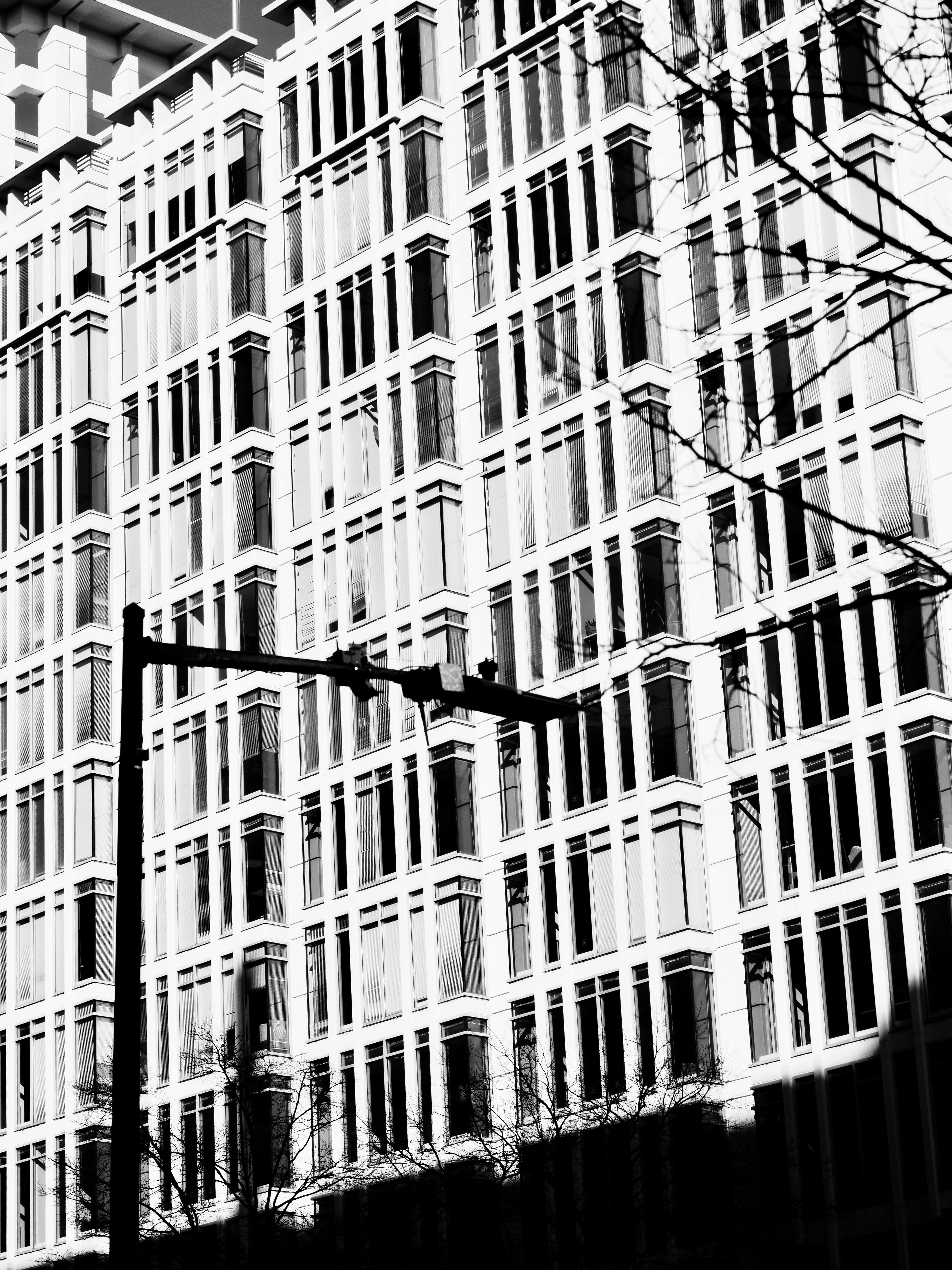 Photo by sschusterphotoart