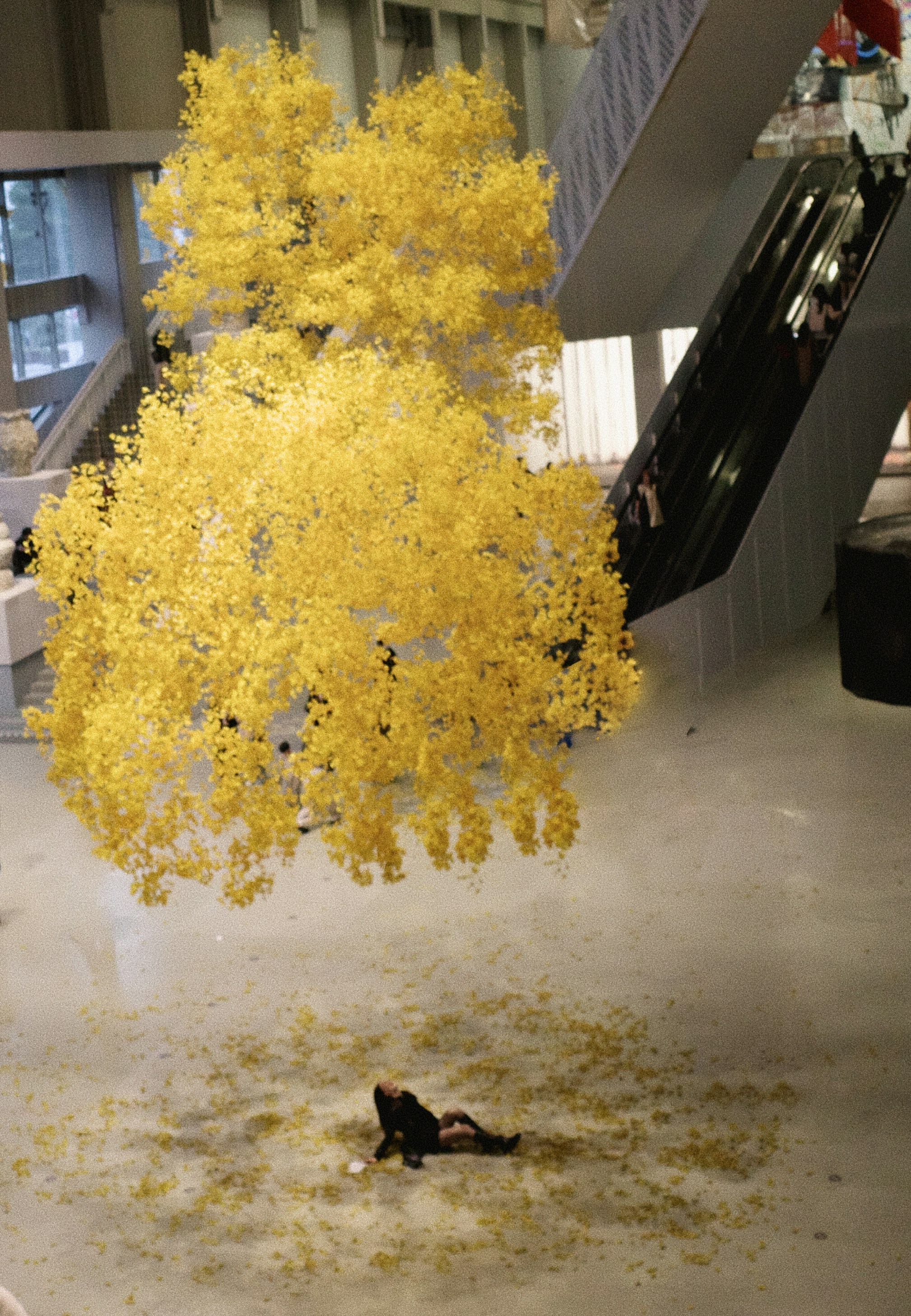 A person lies on the floor near fallen yellow leaves.