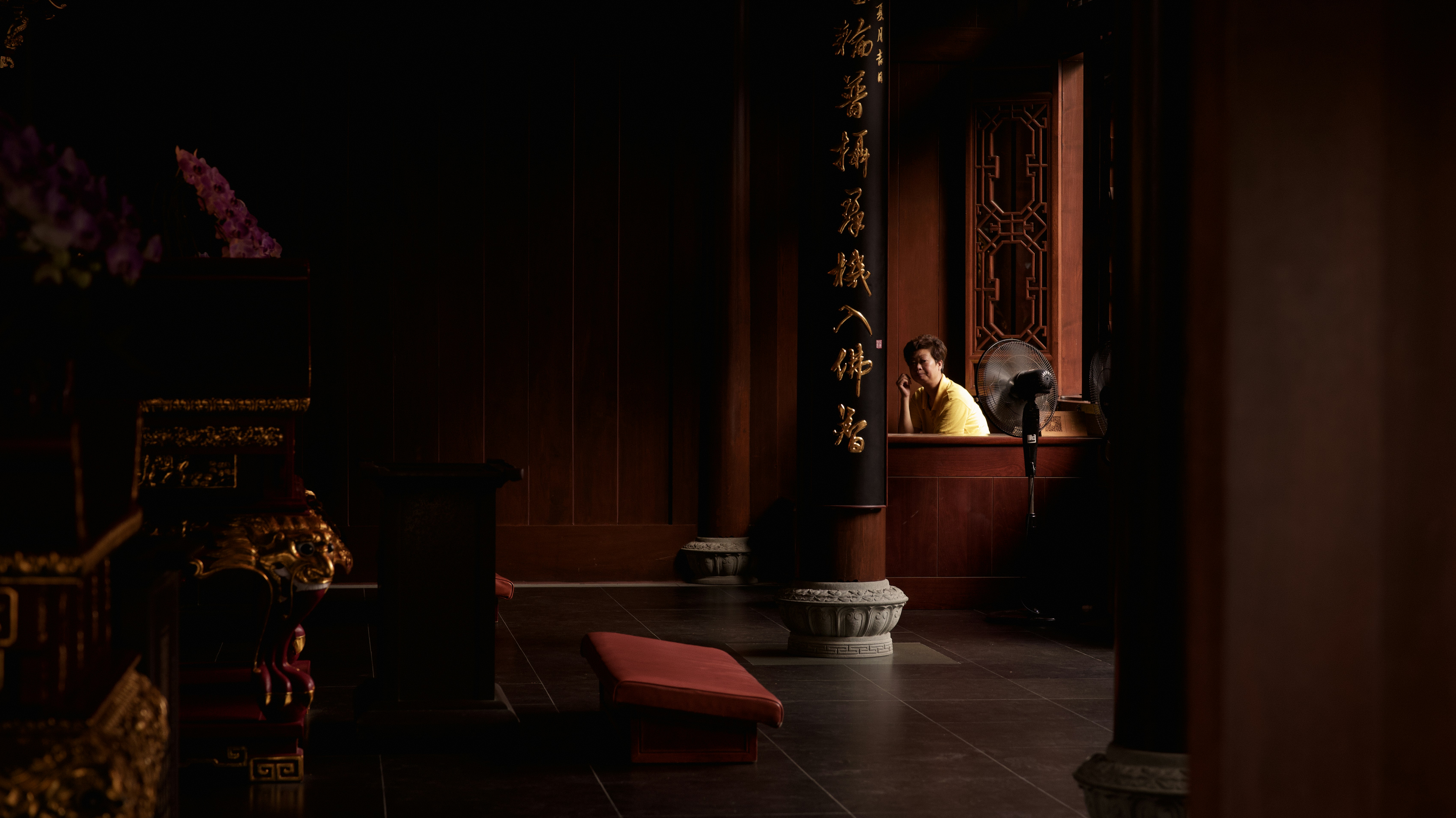 Person looking out window in dark ornate room