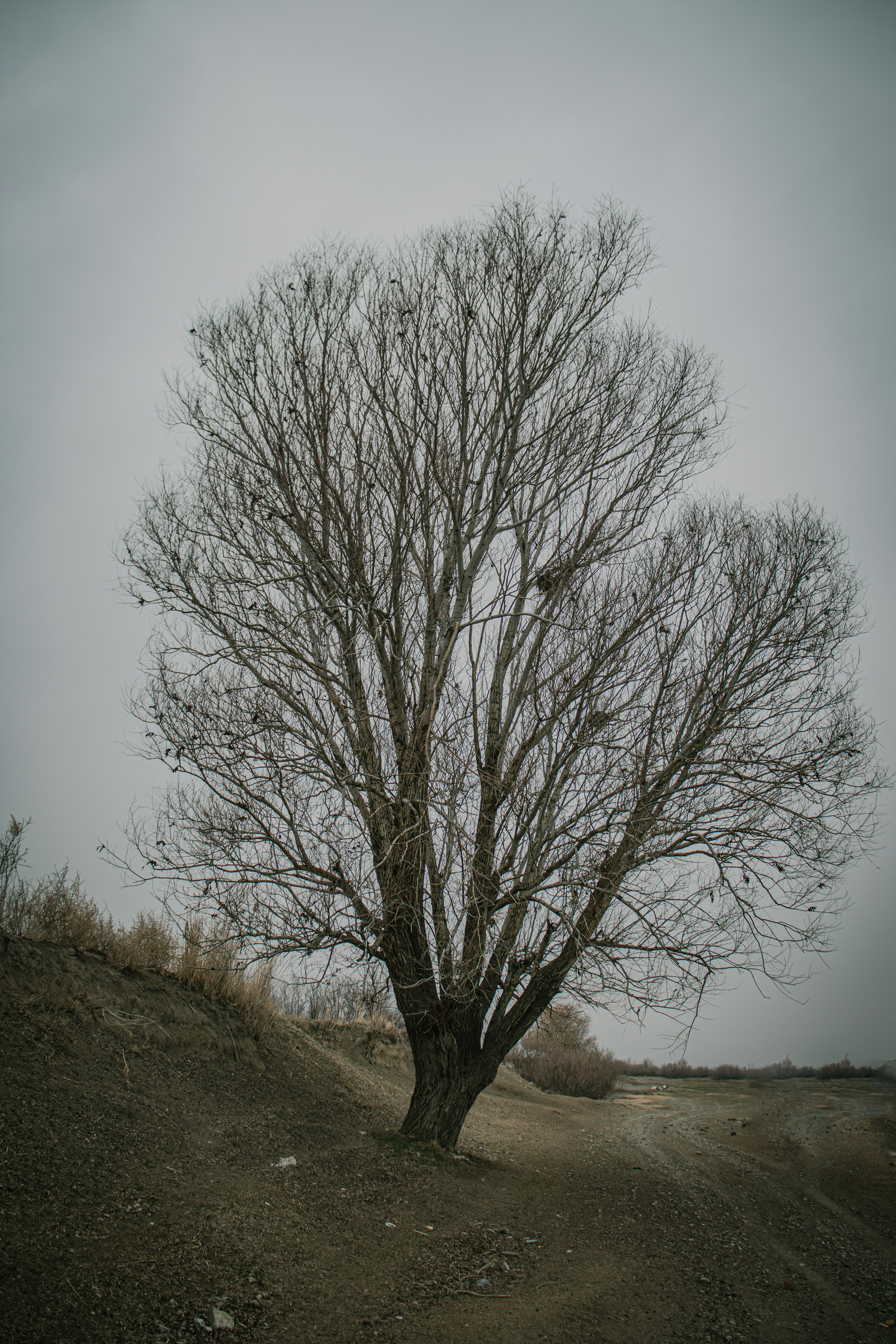 Photo by miladprint