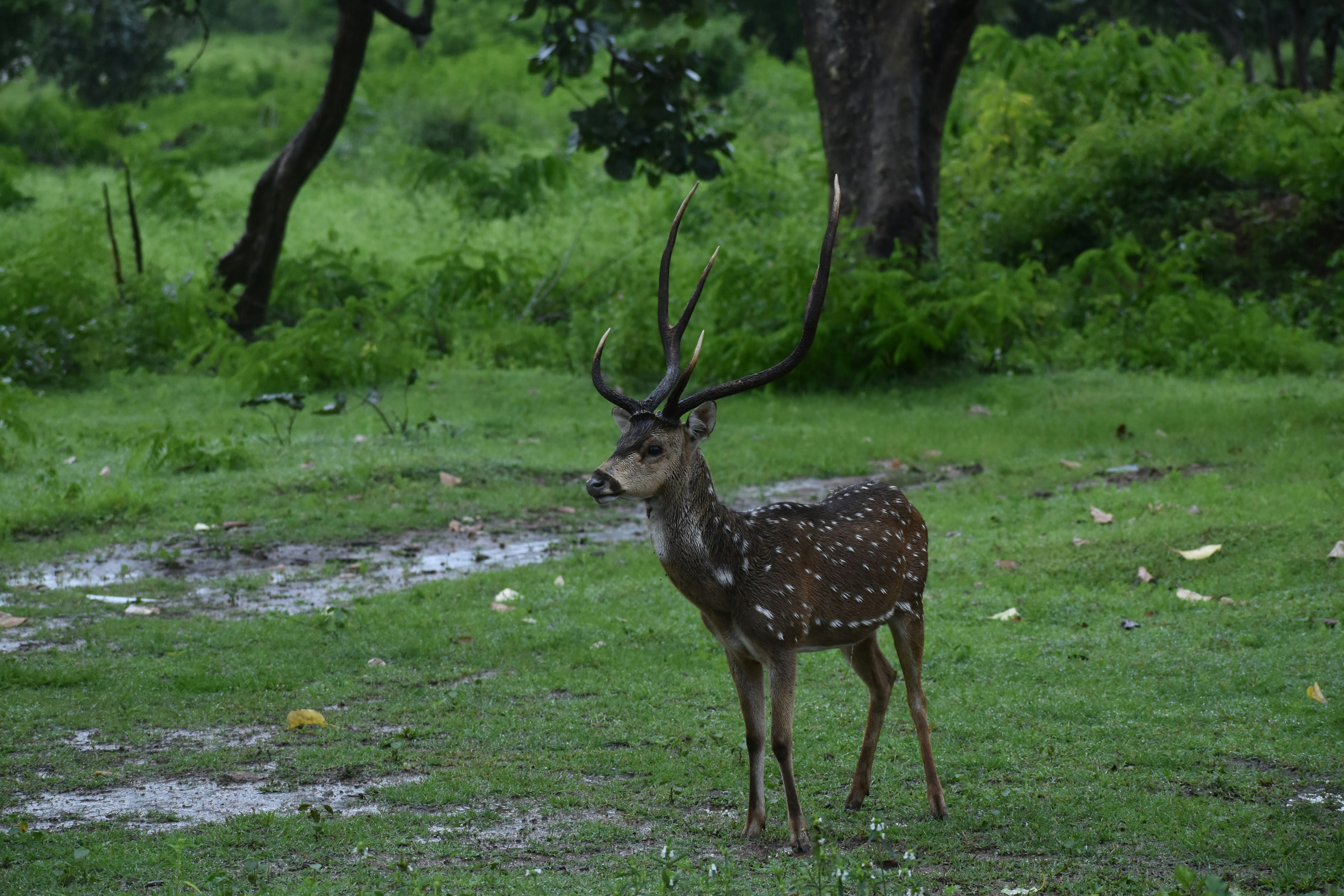 Deepu R (@deepz_pics) | Unsplash Photo Community