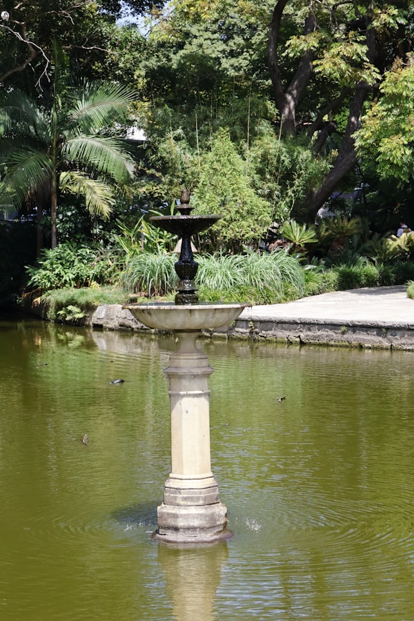 Garden water feature