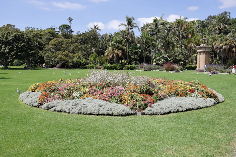 Plantings
