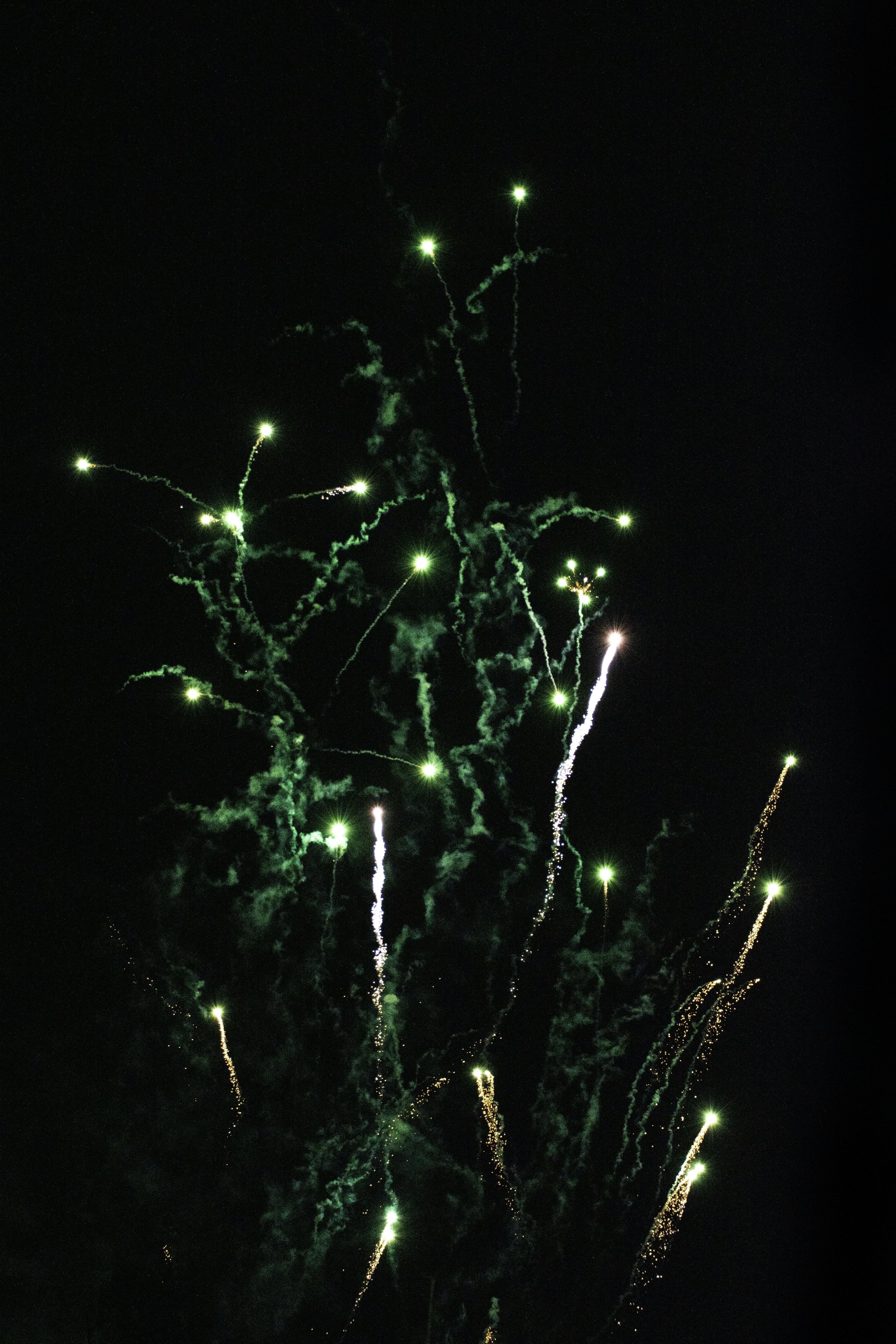 Green fireworks explode against a dark night sky.