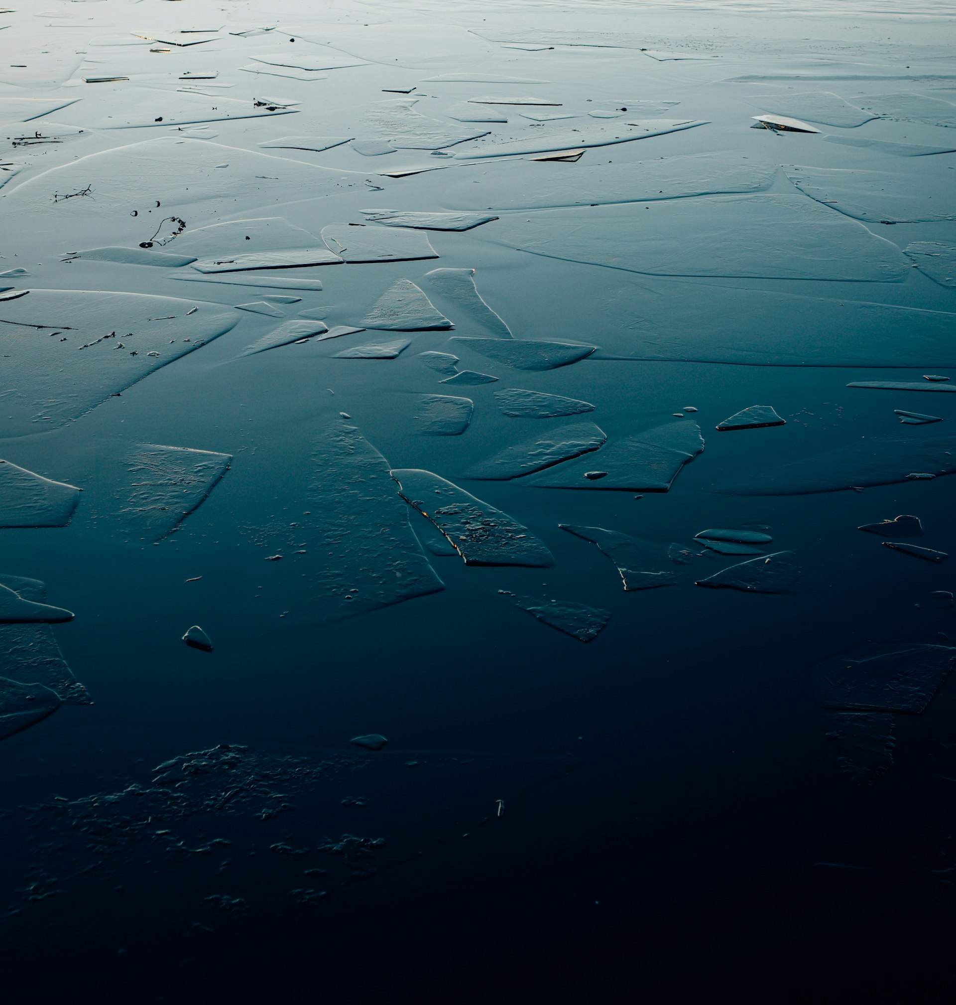 Cold Plunge