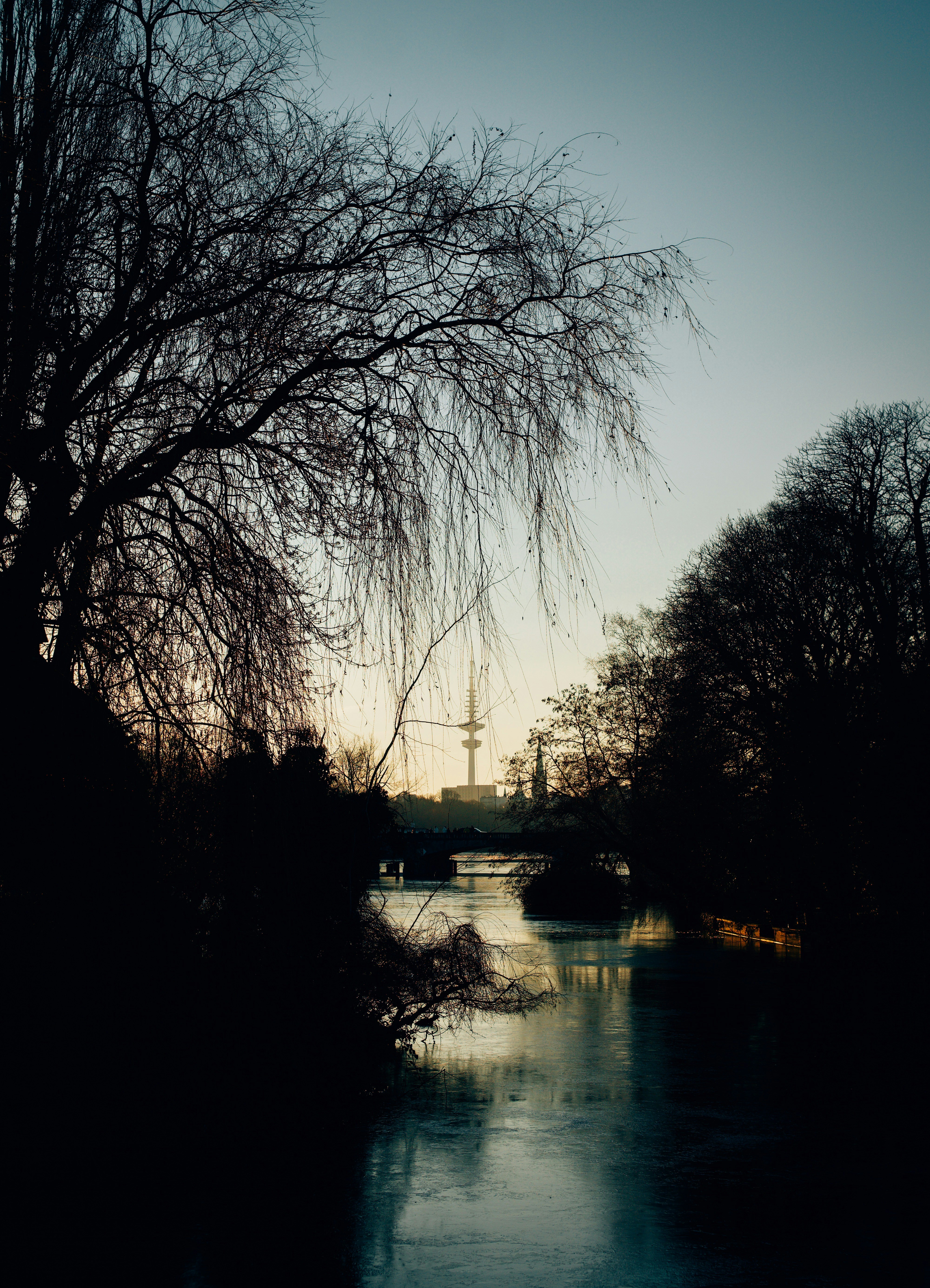 Bare trees line a frozen canal at sunset.