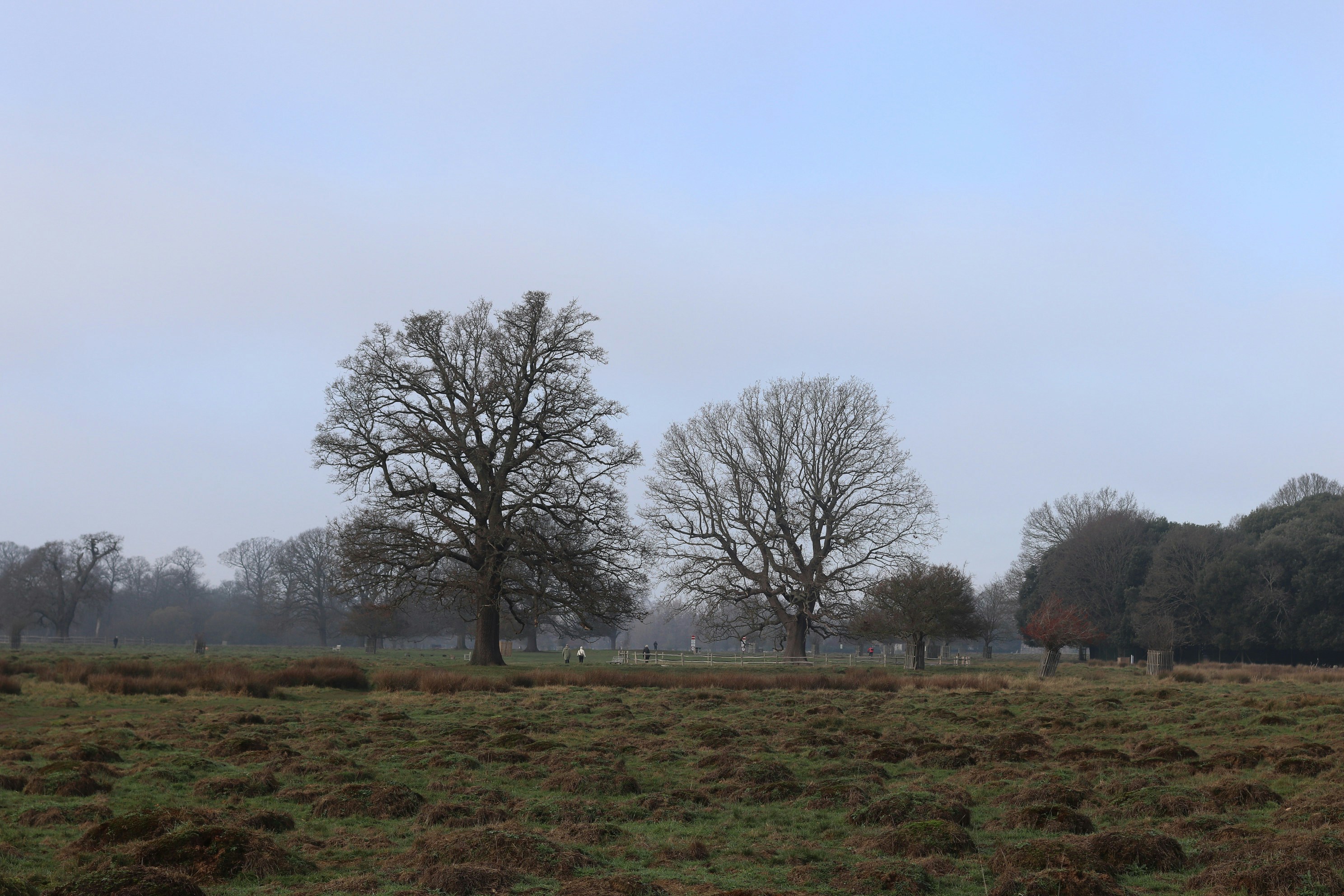 Photo by tanyabarrow