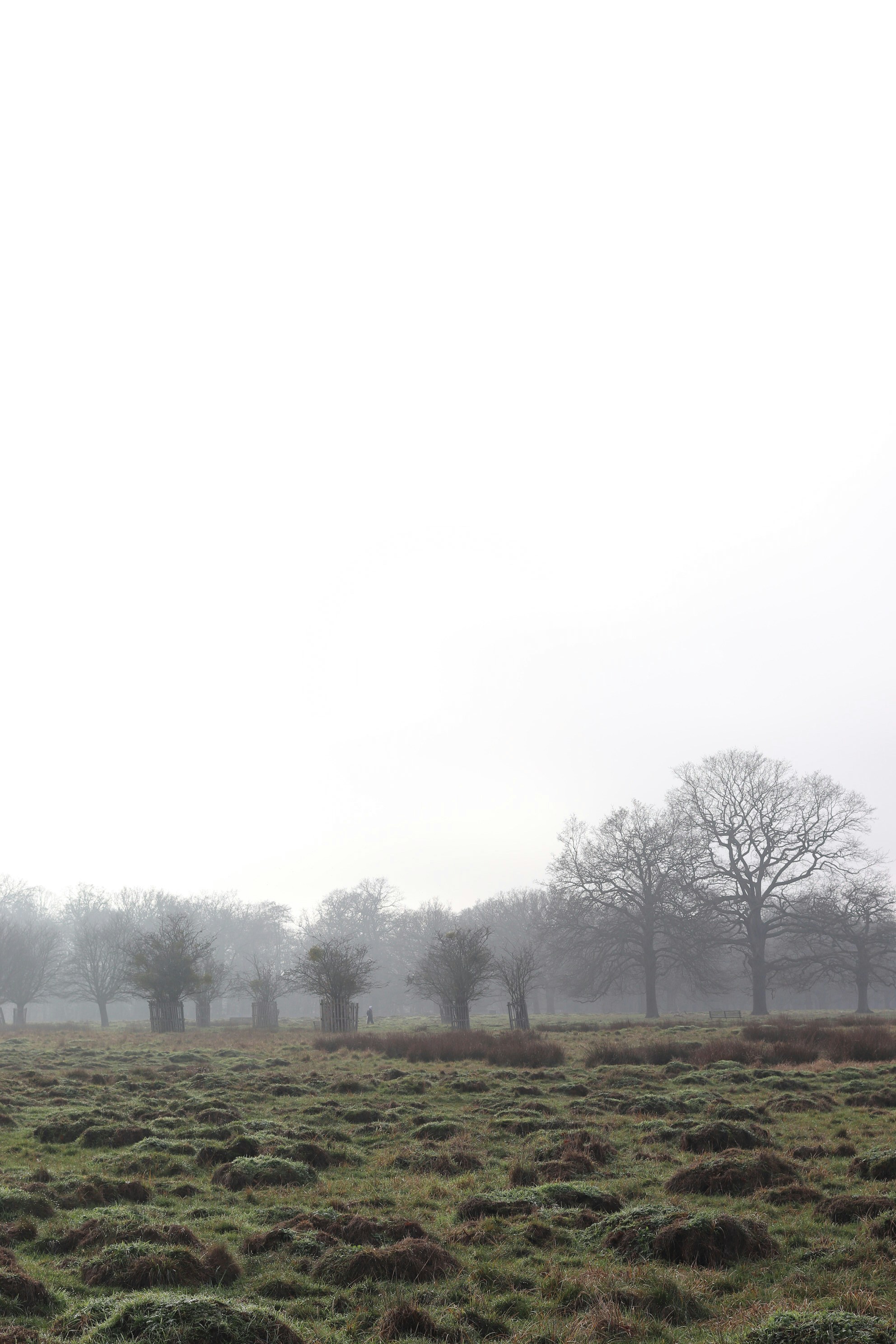 Photo by tanyabarrow