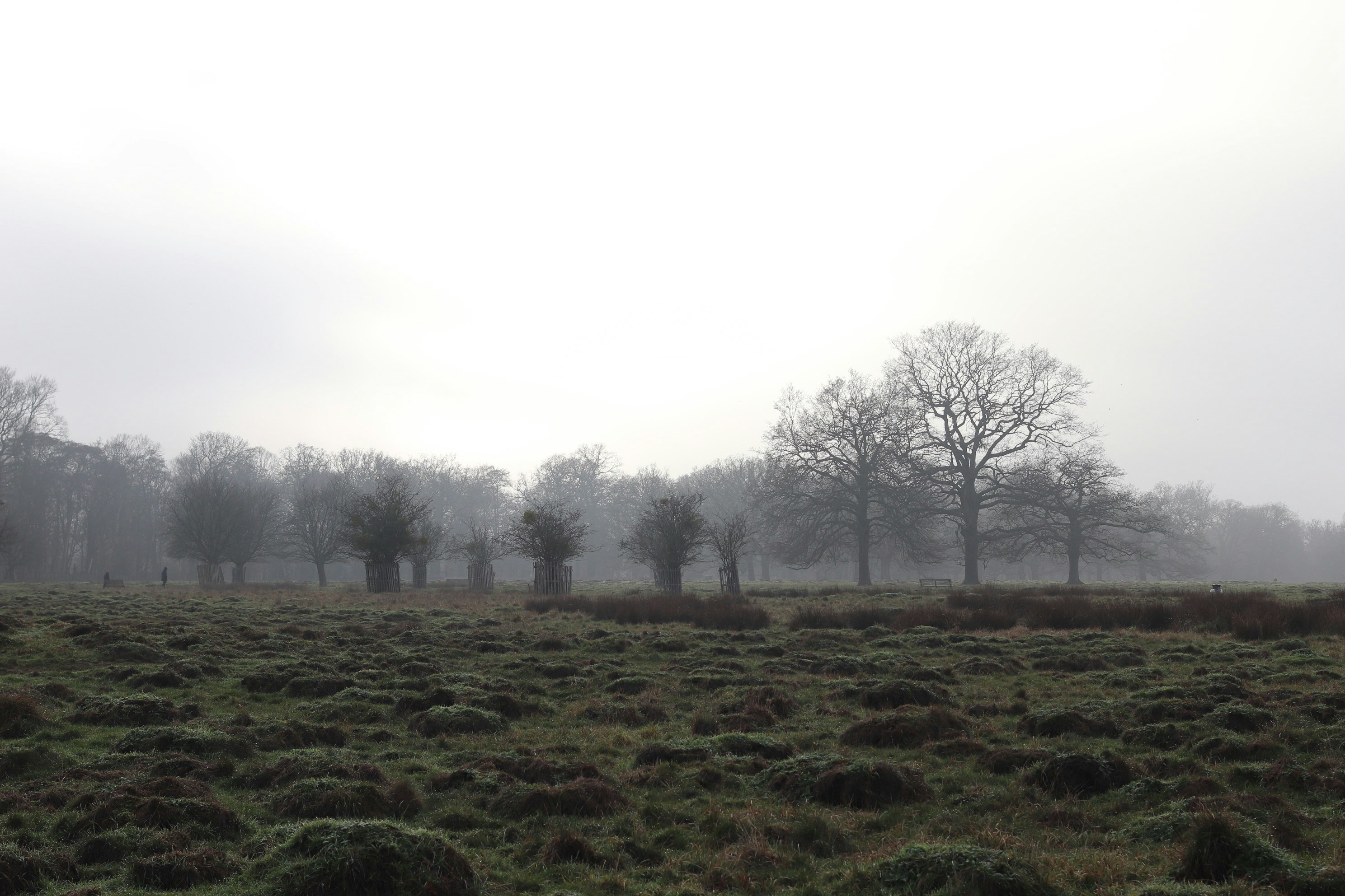 Photo by tanyabarrow