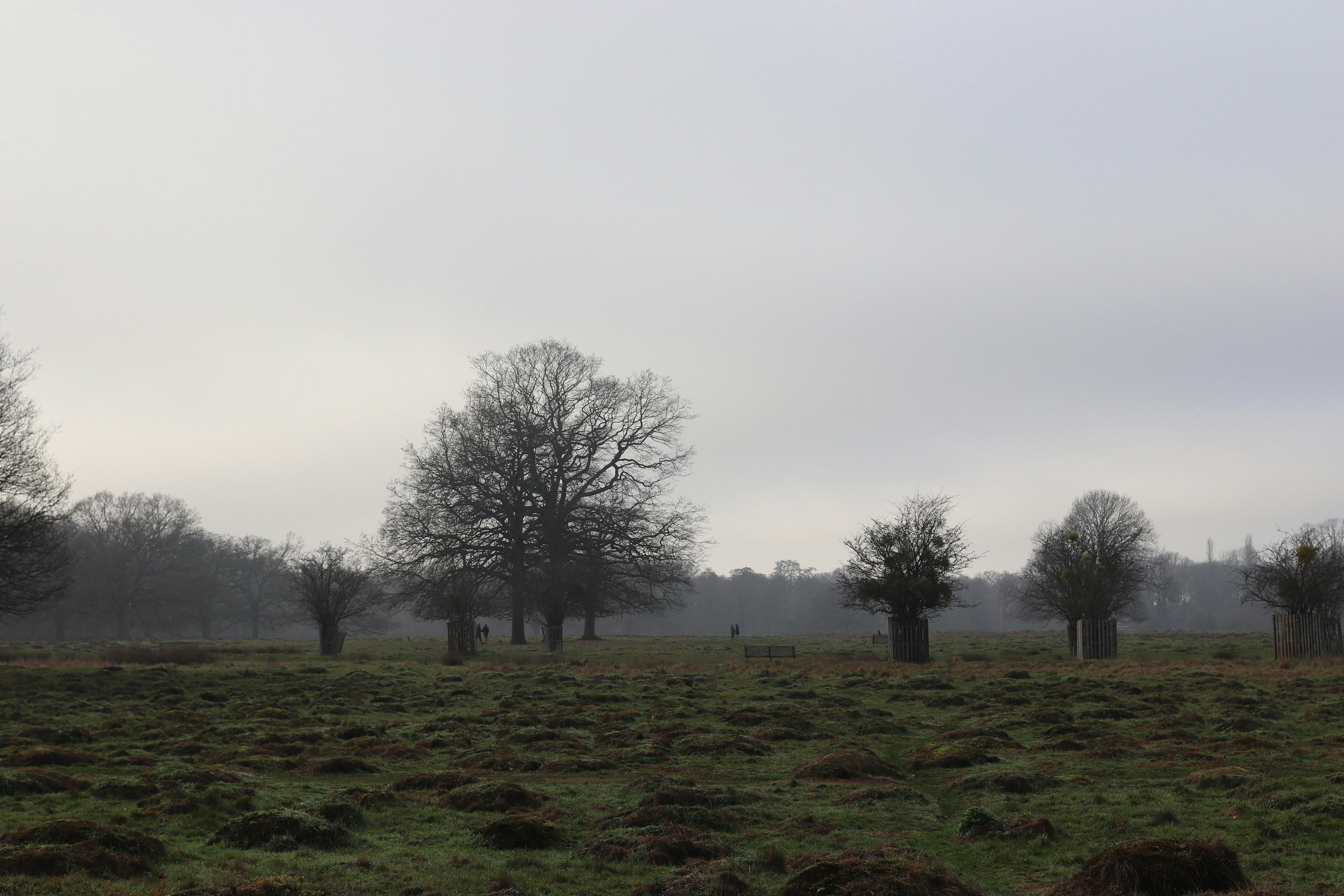 Photo by tanyabarrow