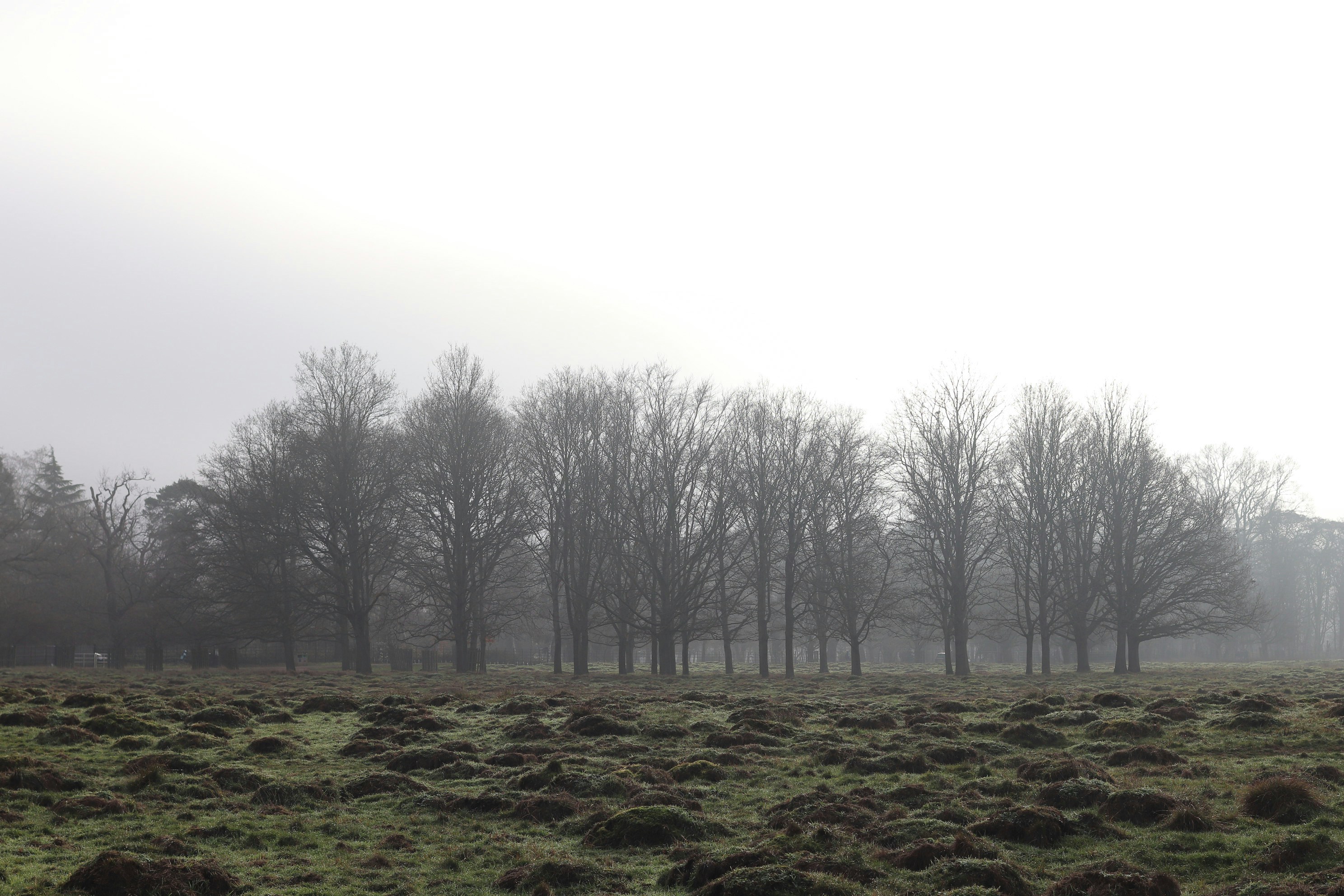 Photo by tanyabarrow