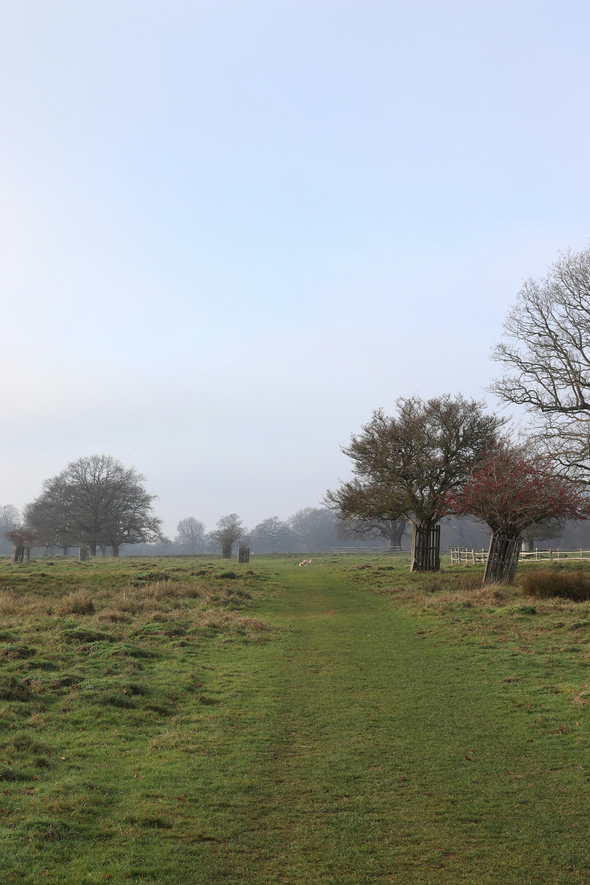 calm outdoor spaces, wallpaper, Zen Outdoor Patio: Creating a Relaxing Retreat 4