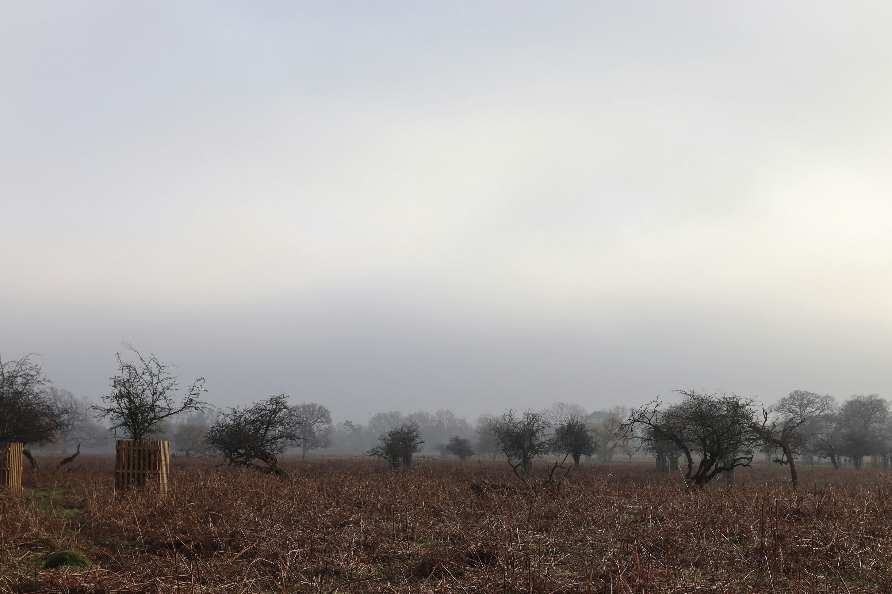 Photo by tanyabarrow