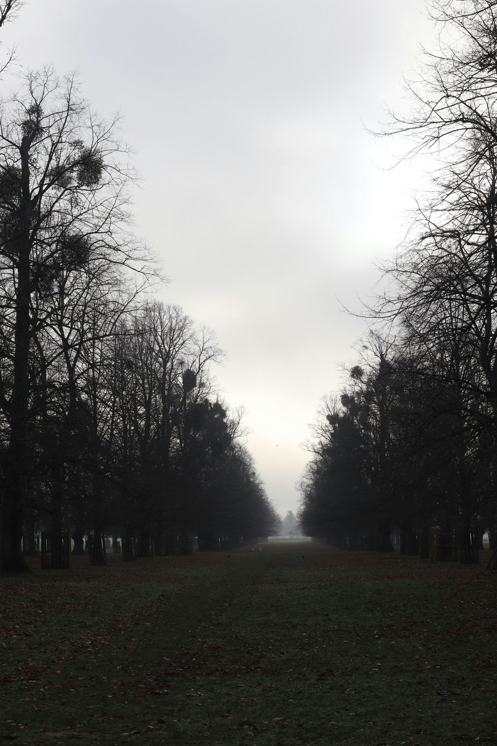 Photo by tanyabarrow