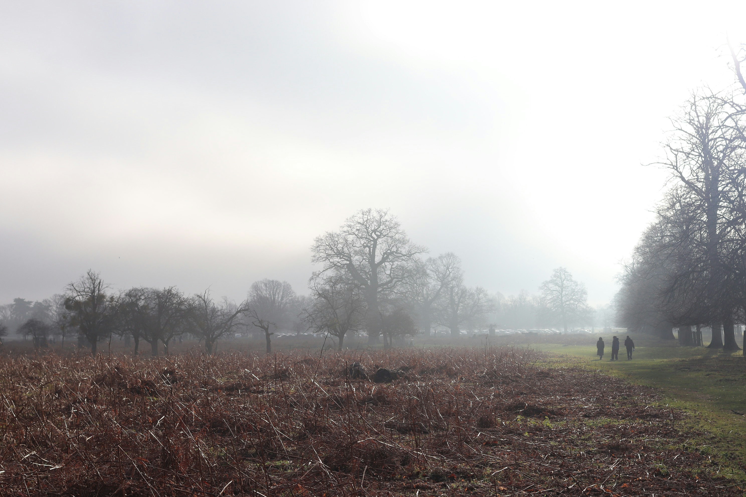 Photo by tanyabarrow