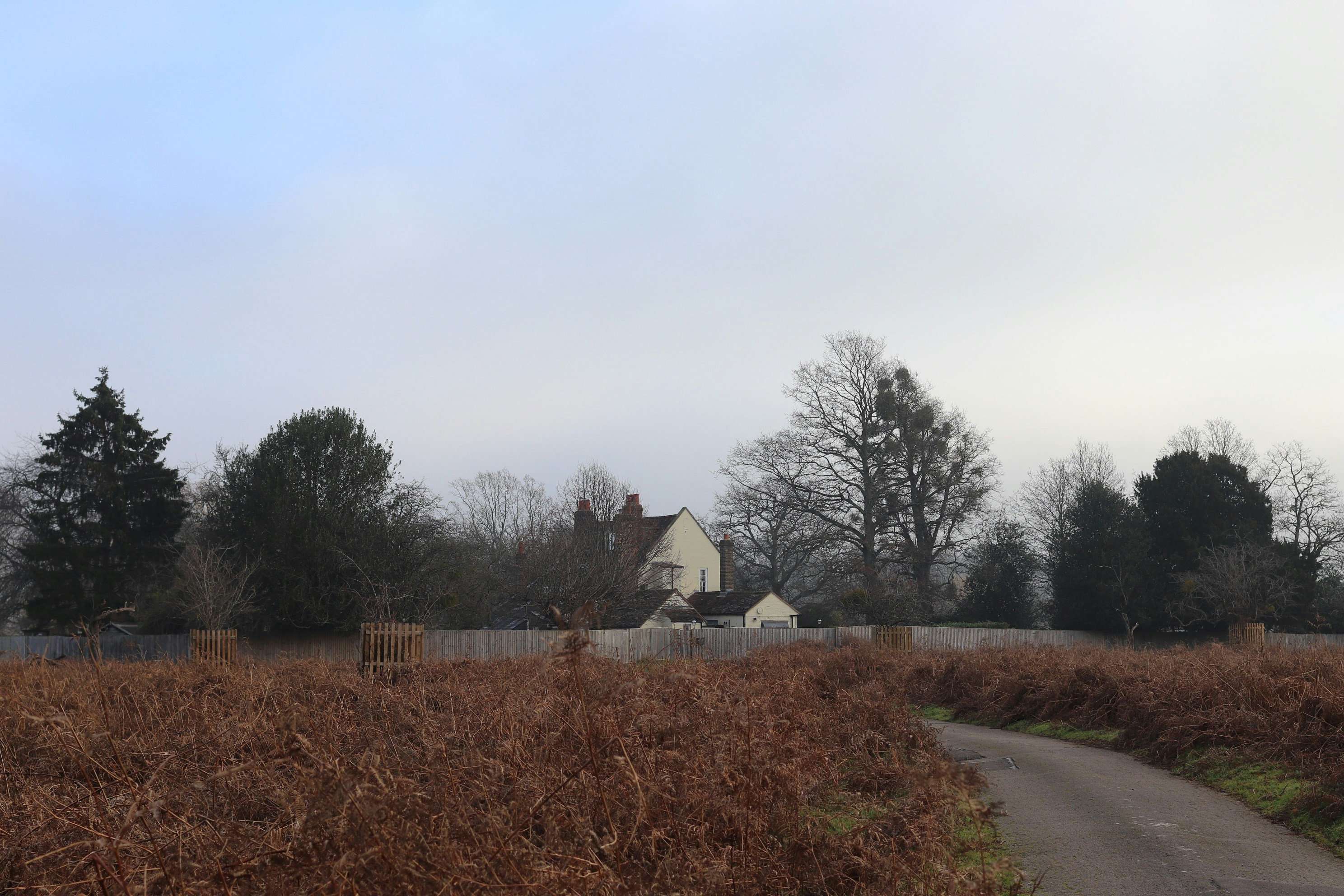 Photo by tanyabarrow