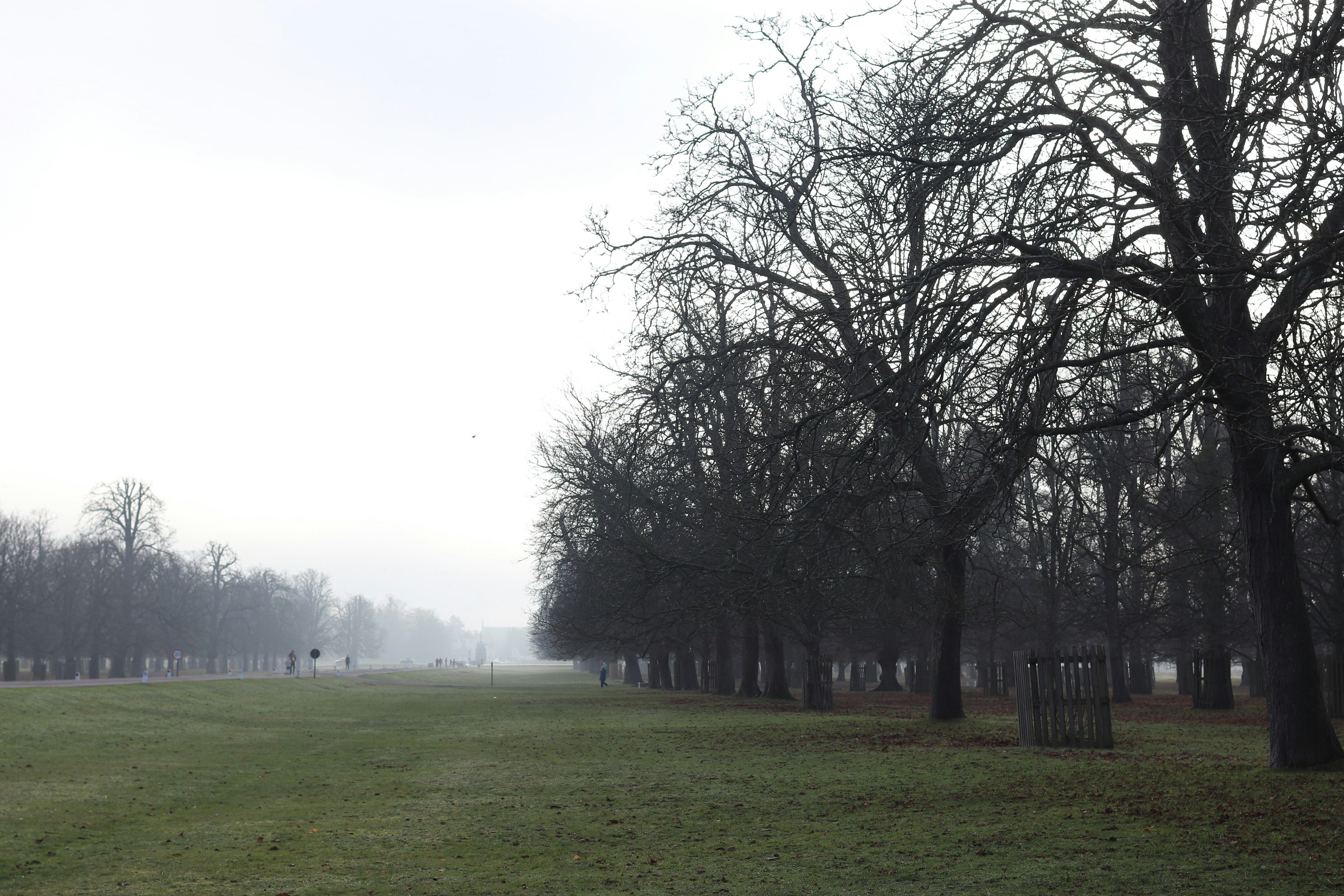 Photo by tanyabarrow