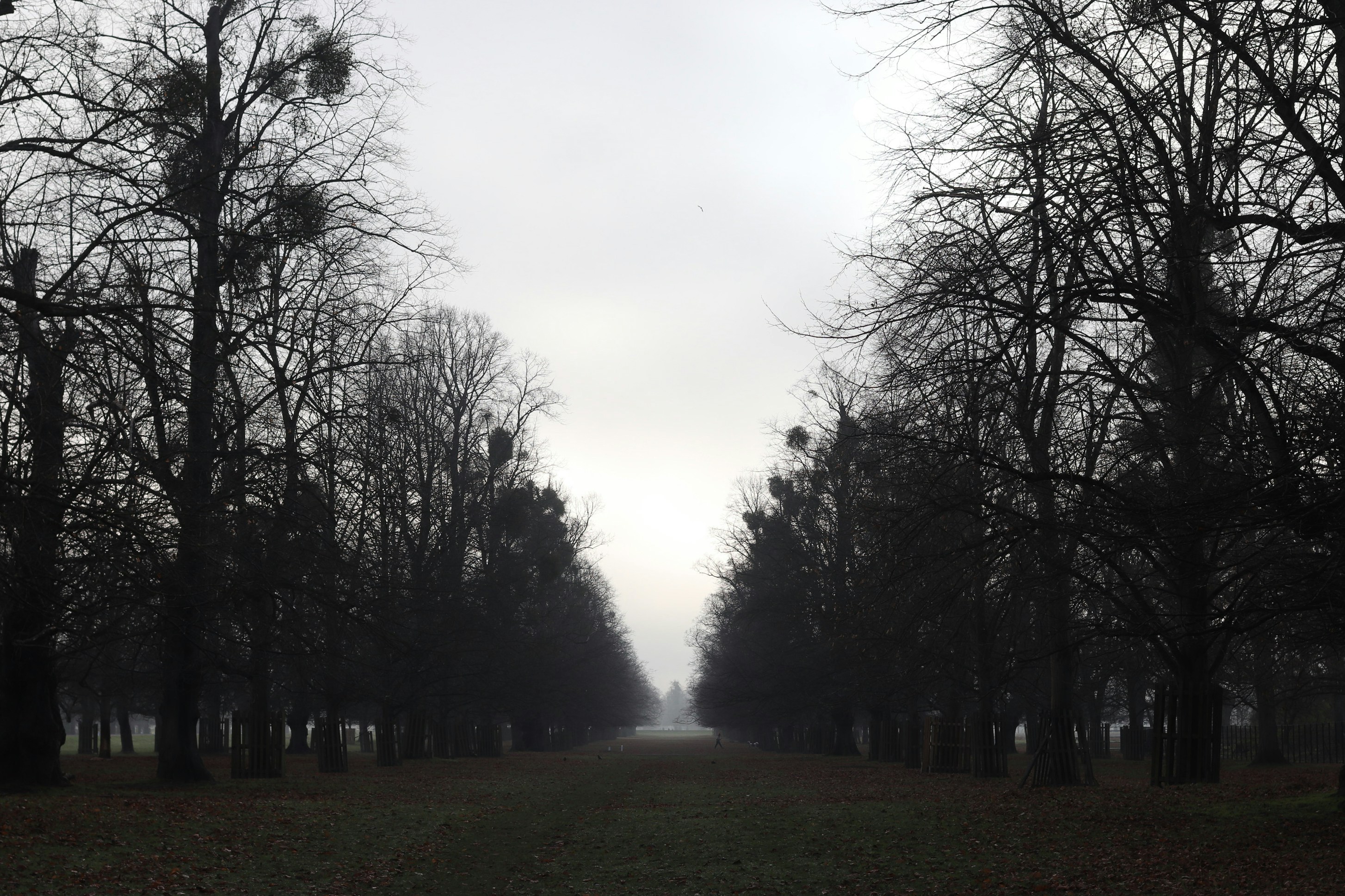 Photo by tanyabarrow