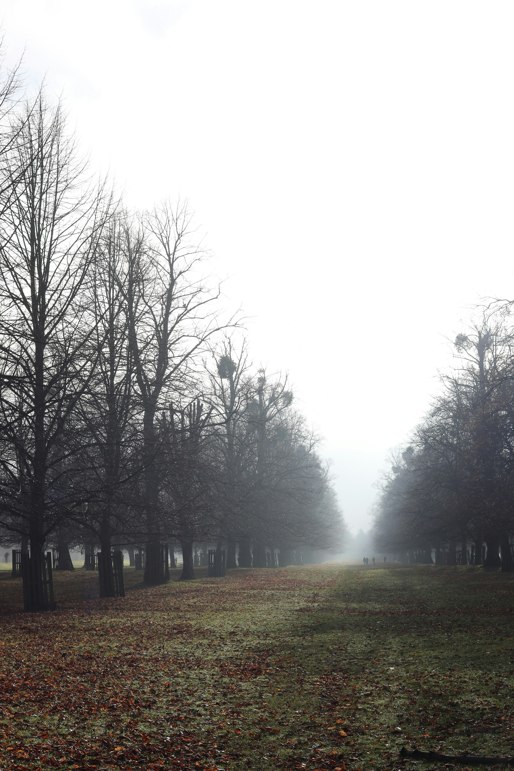 Photo by tanyabarrow