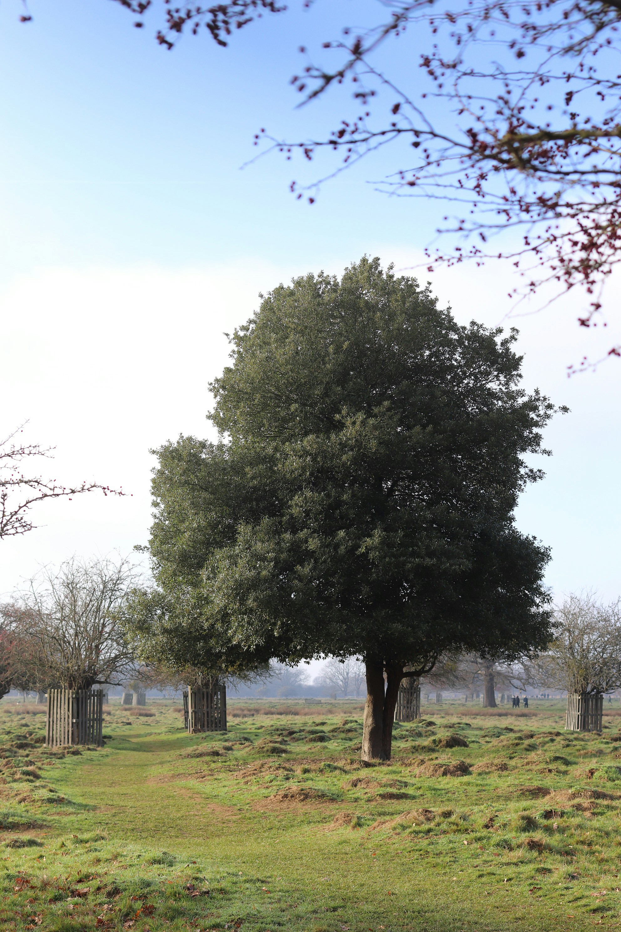 Photo by tanyabarrow