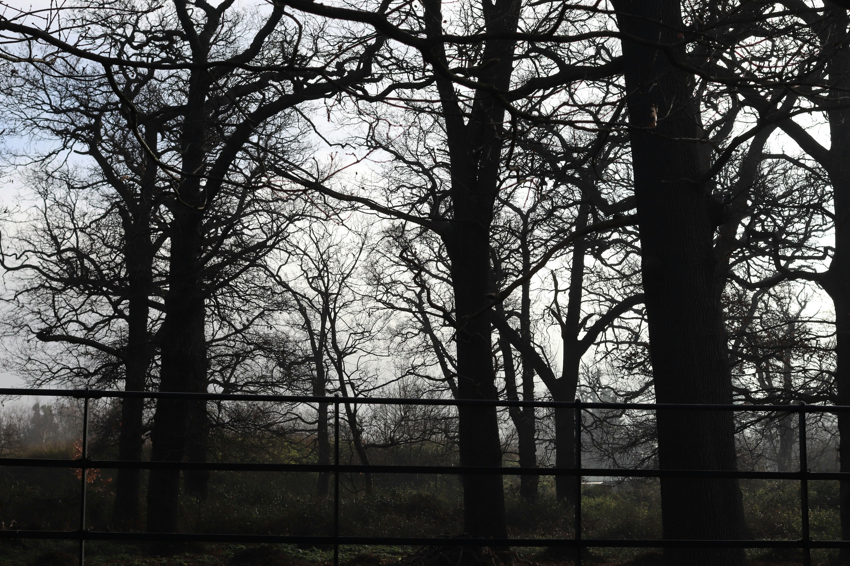 Photo by tanyabarrow