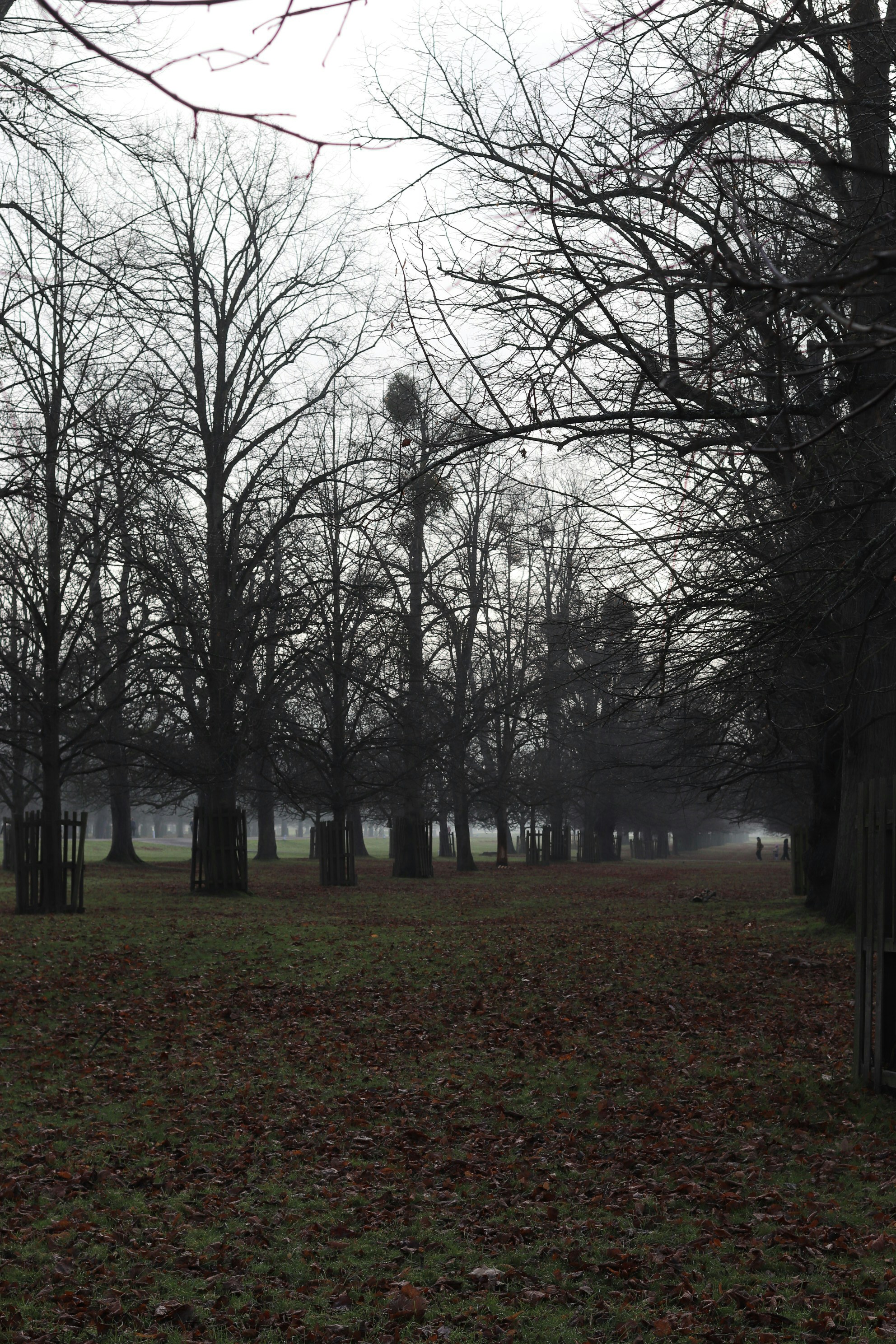 Photo by tanyabarrow